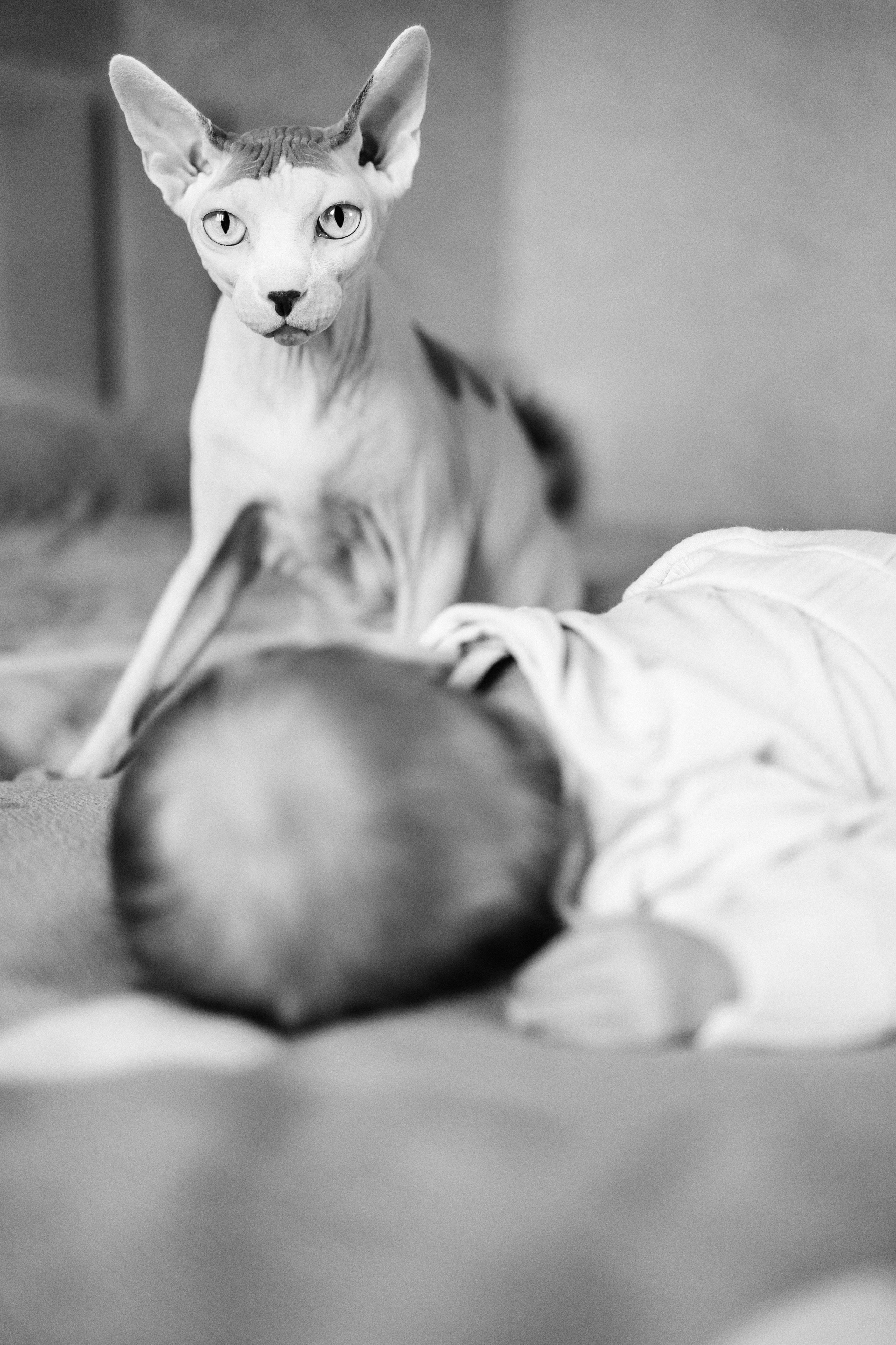 Фотосессия у вас дома. Главная