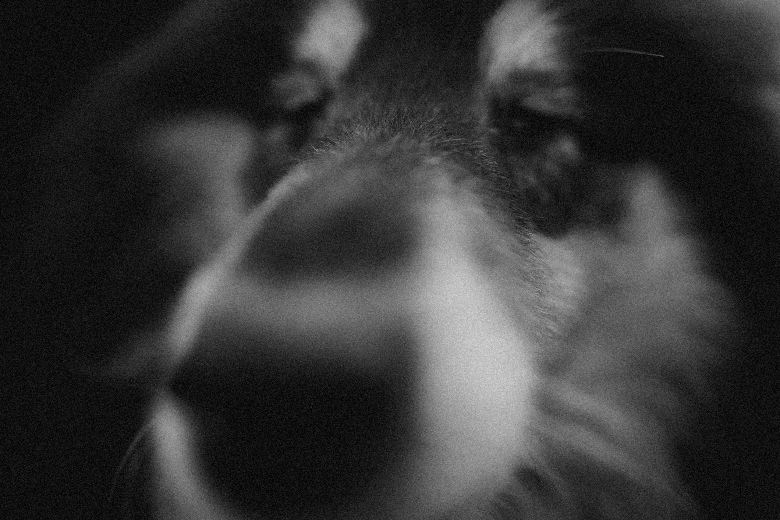 Ия и Барт. Фотограф — Анималист | Санкт-Петербург