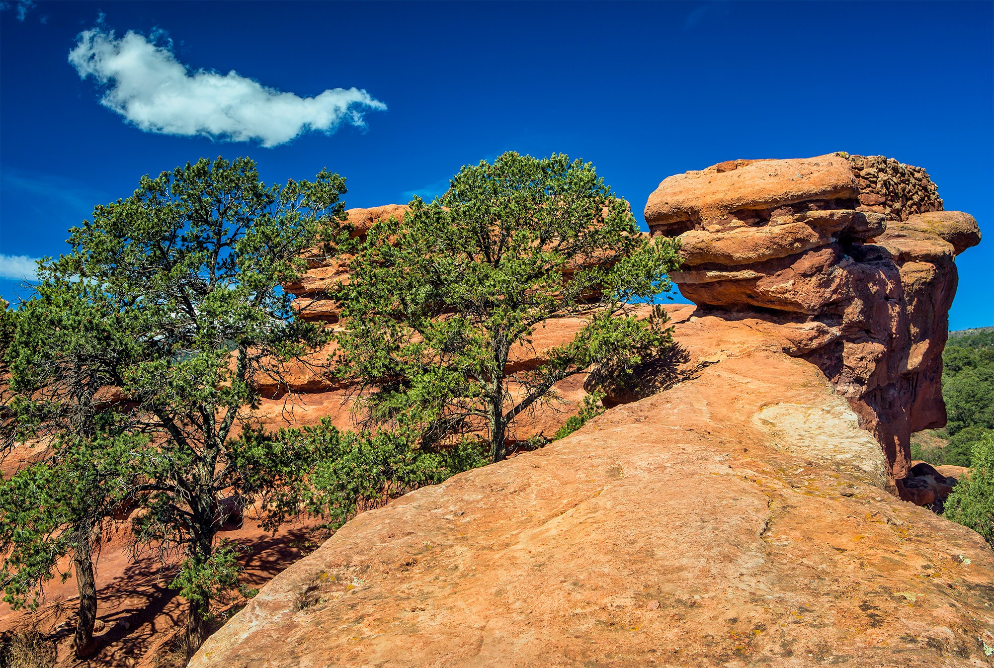 Garden of the Gods, USA. Photographer Vladimir Ostapenko