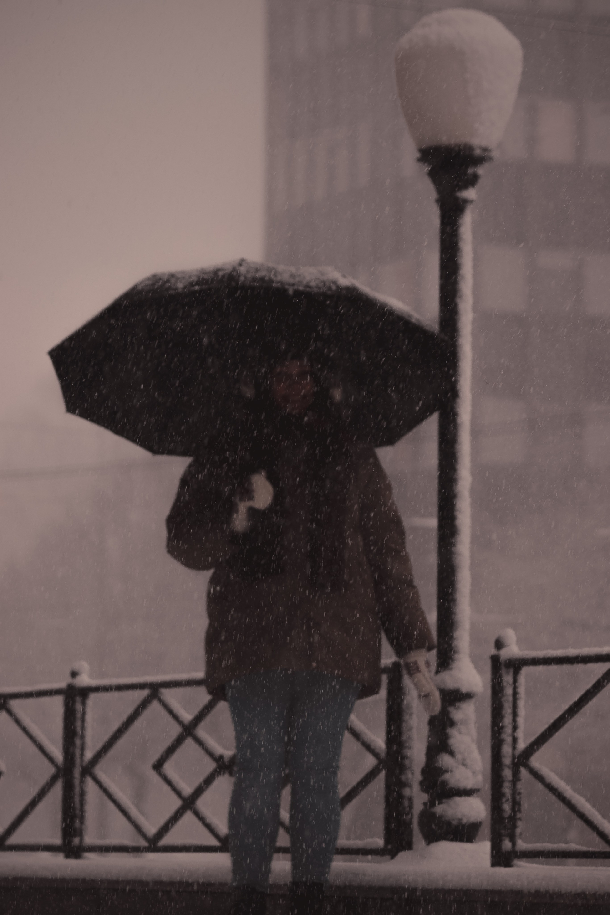 Коринна С. (Street). — Digital Noise —