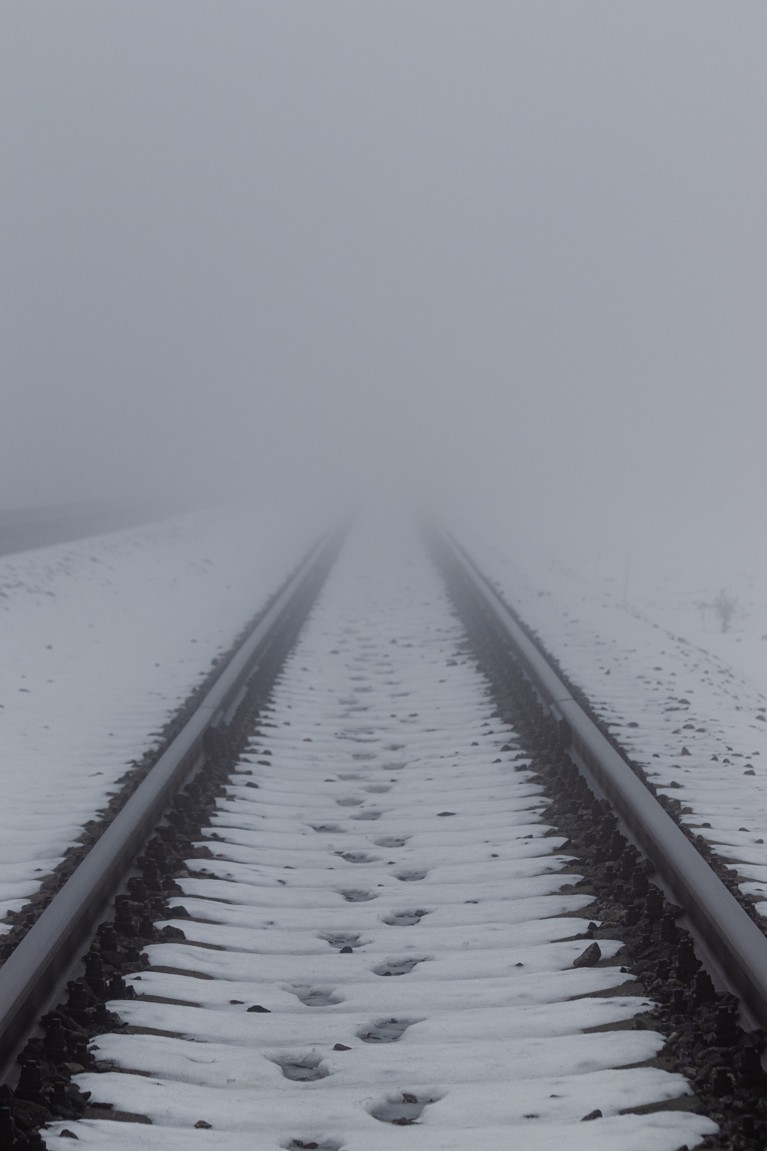 Т У М А Н. — Digital Noise —