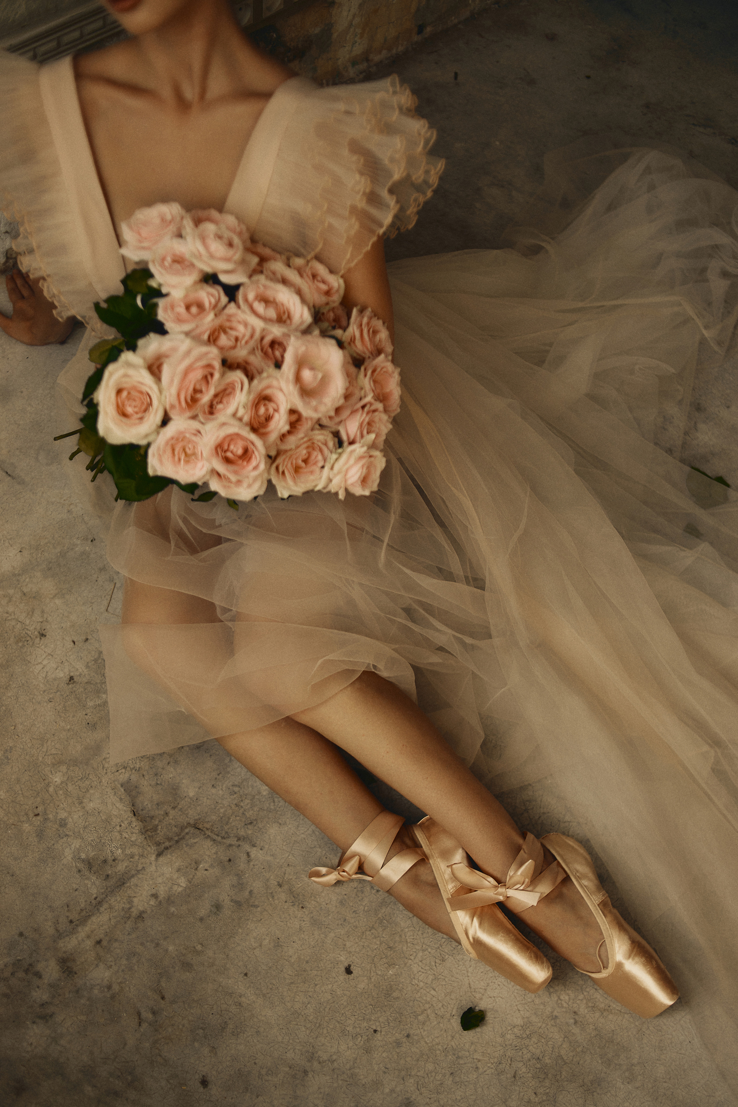 История маленькой балерины. Главная