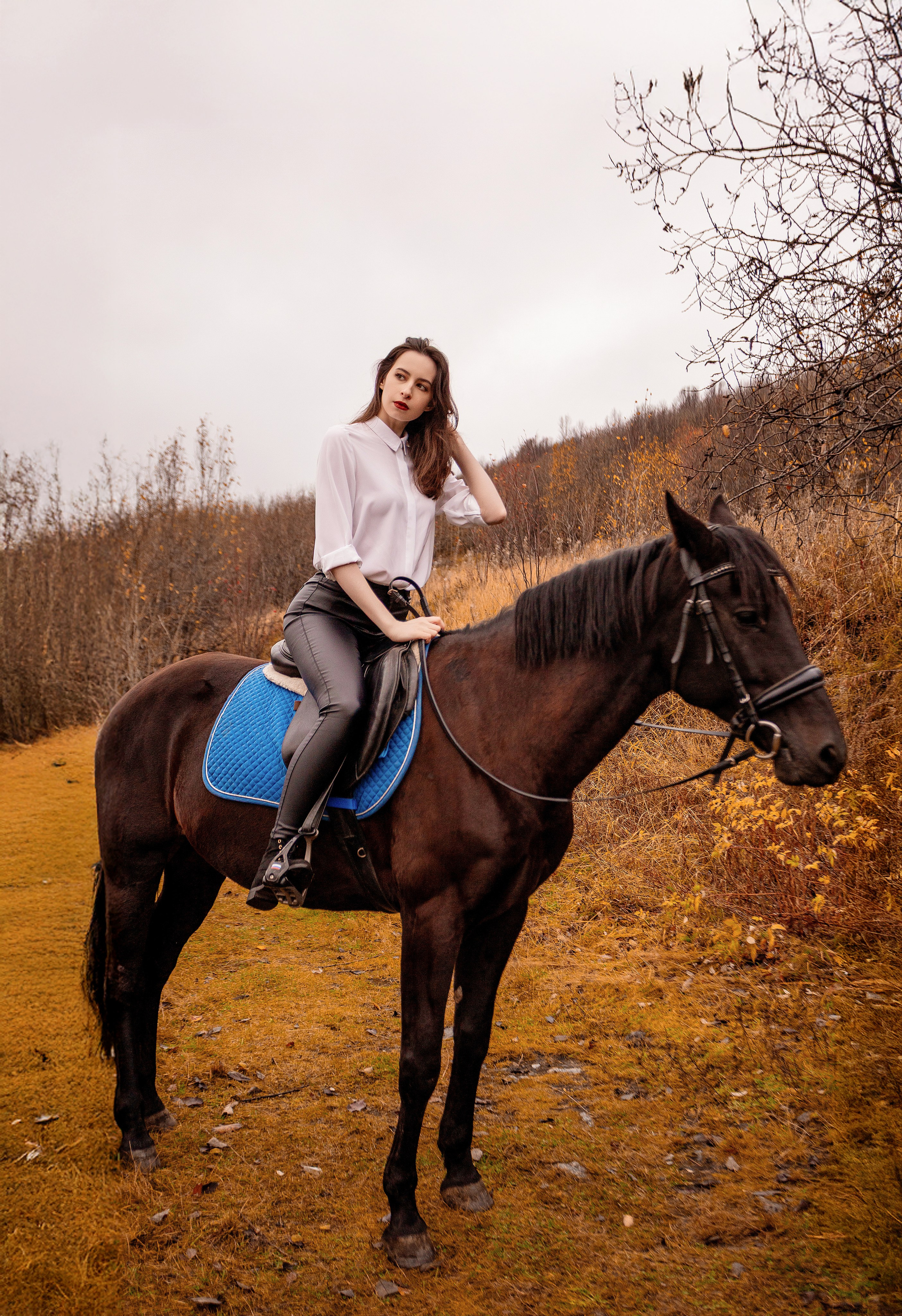 Horses. Фотограф Мурманск Лилия Маер