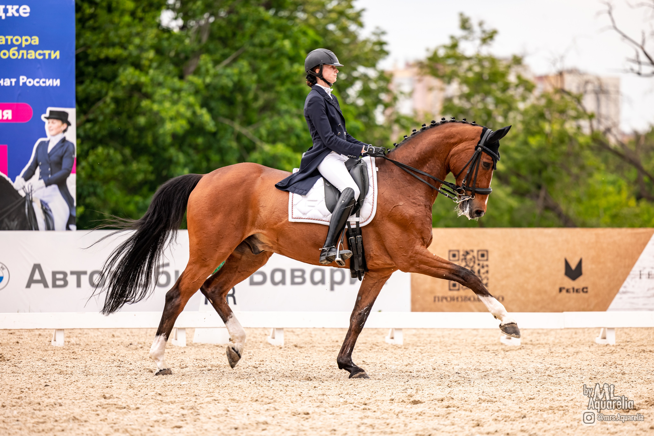 Выездка. Mrs.Aquarelia Конный фотограф Марианна Леонтьева