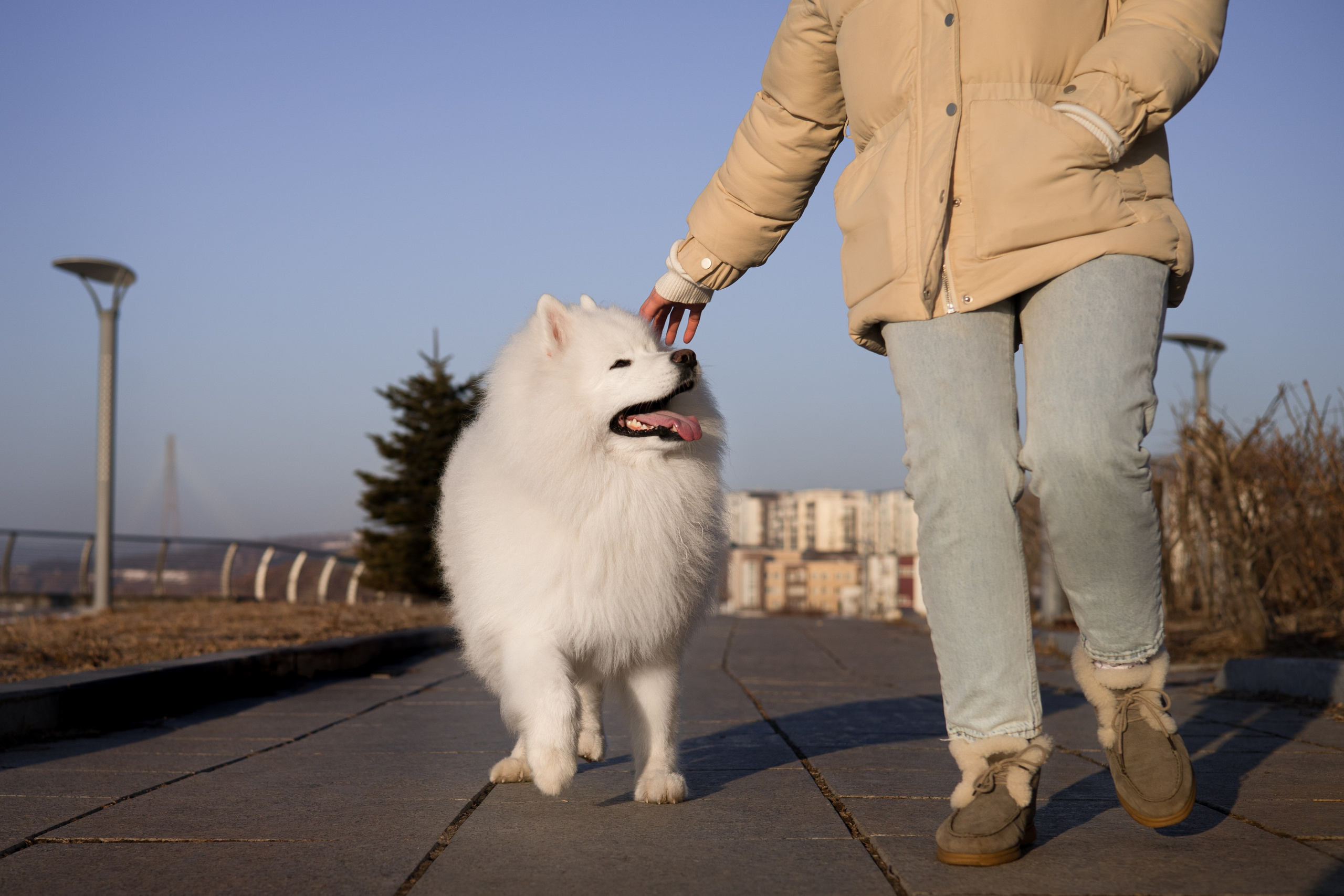 Полина и Вирчик. Фотограф — анималист Владивосток, Алина