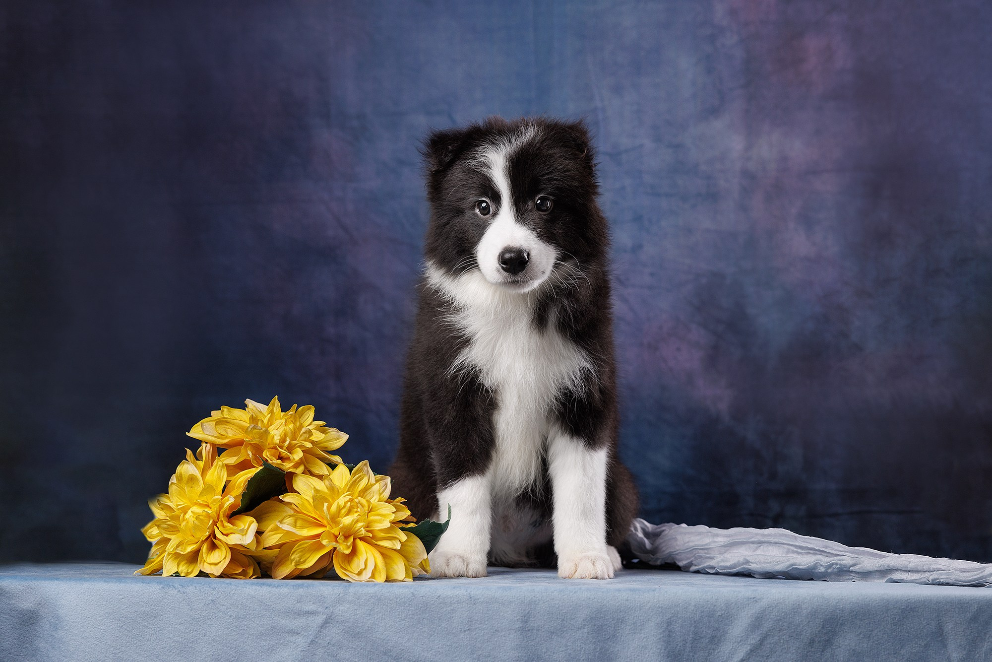 На водной основе. О нас