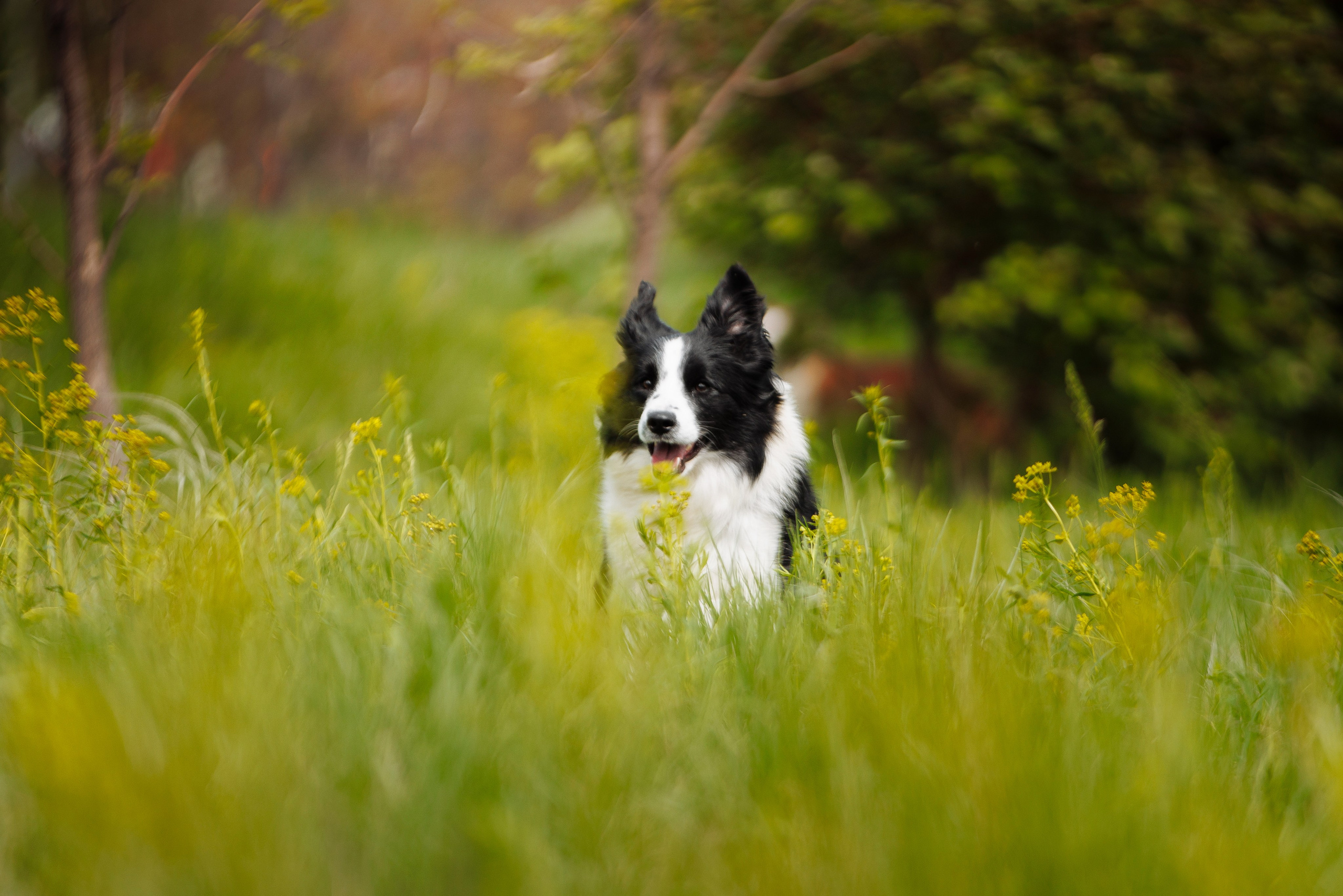 Такой разношерстный Орск 25. О нас