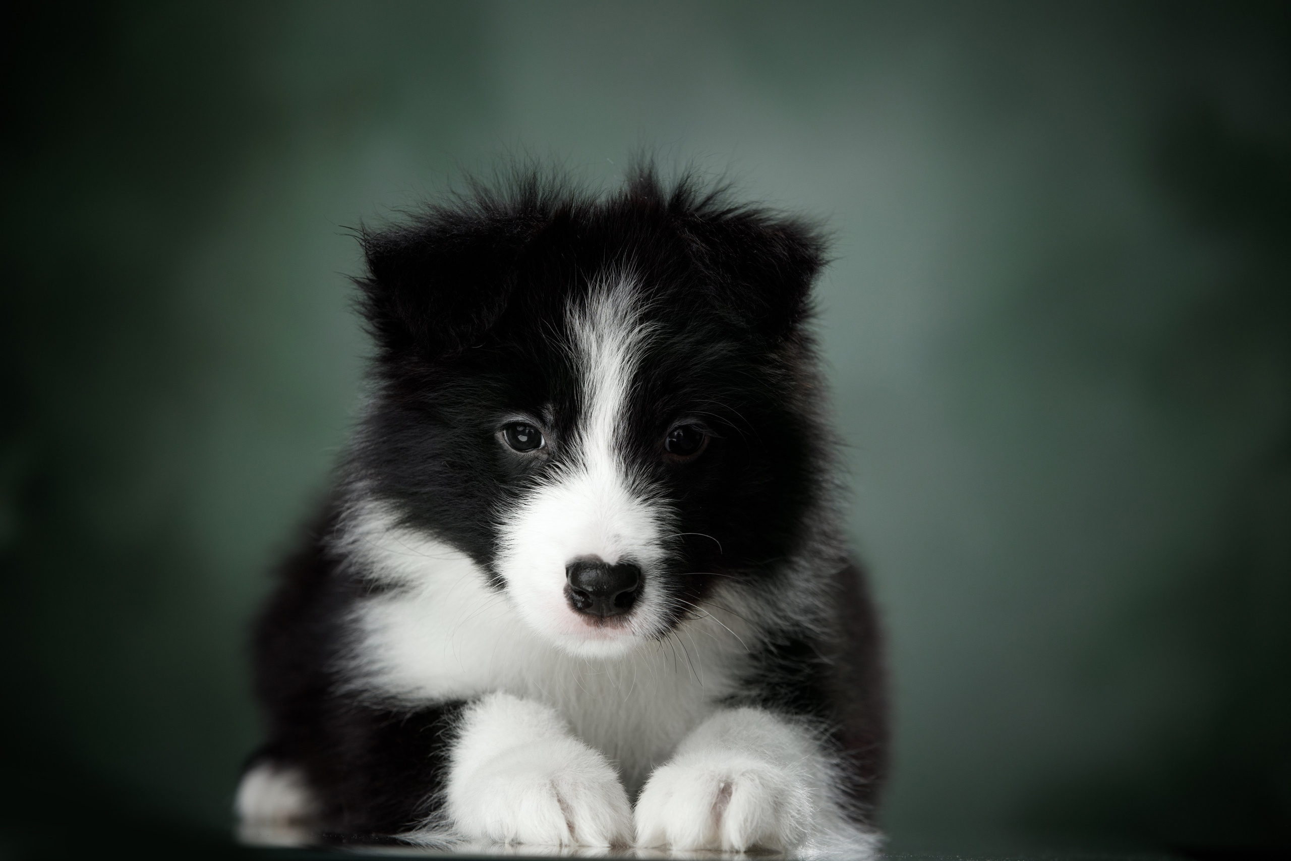 Март. Весна. 22. О нас