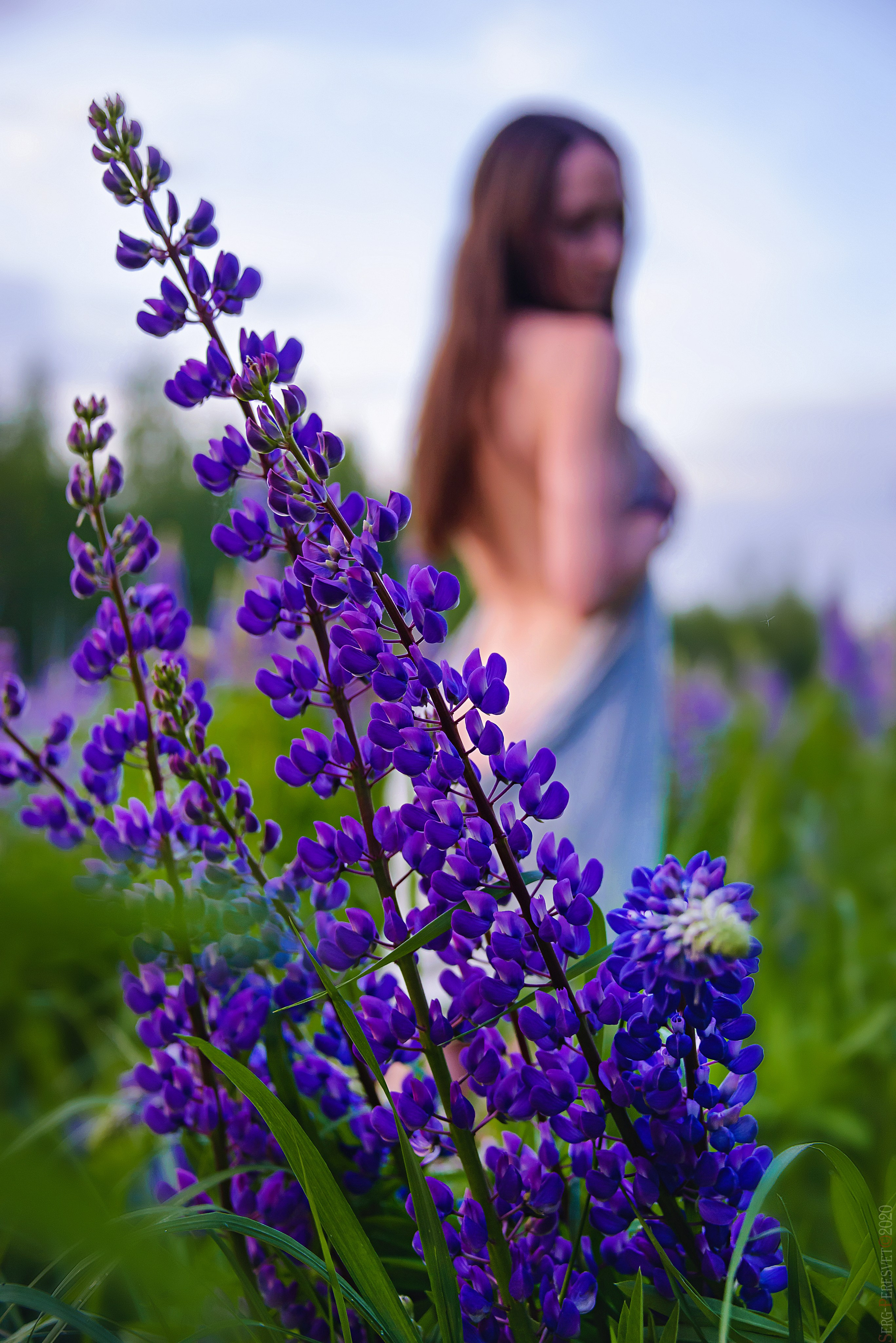 Будуар. Your photographer for a holiday in Moscow, Ramenskoye, Zhukovsky, Lyub