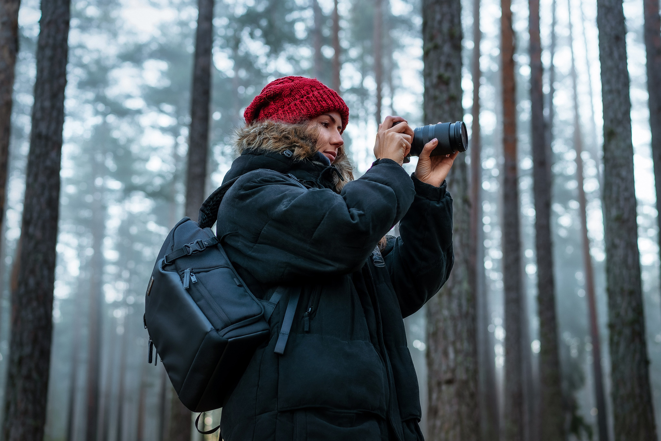 Рассвет в осеннем лесу, Карелия. Юля Дэй • Фотограф, Санкт-Петербург