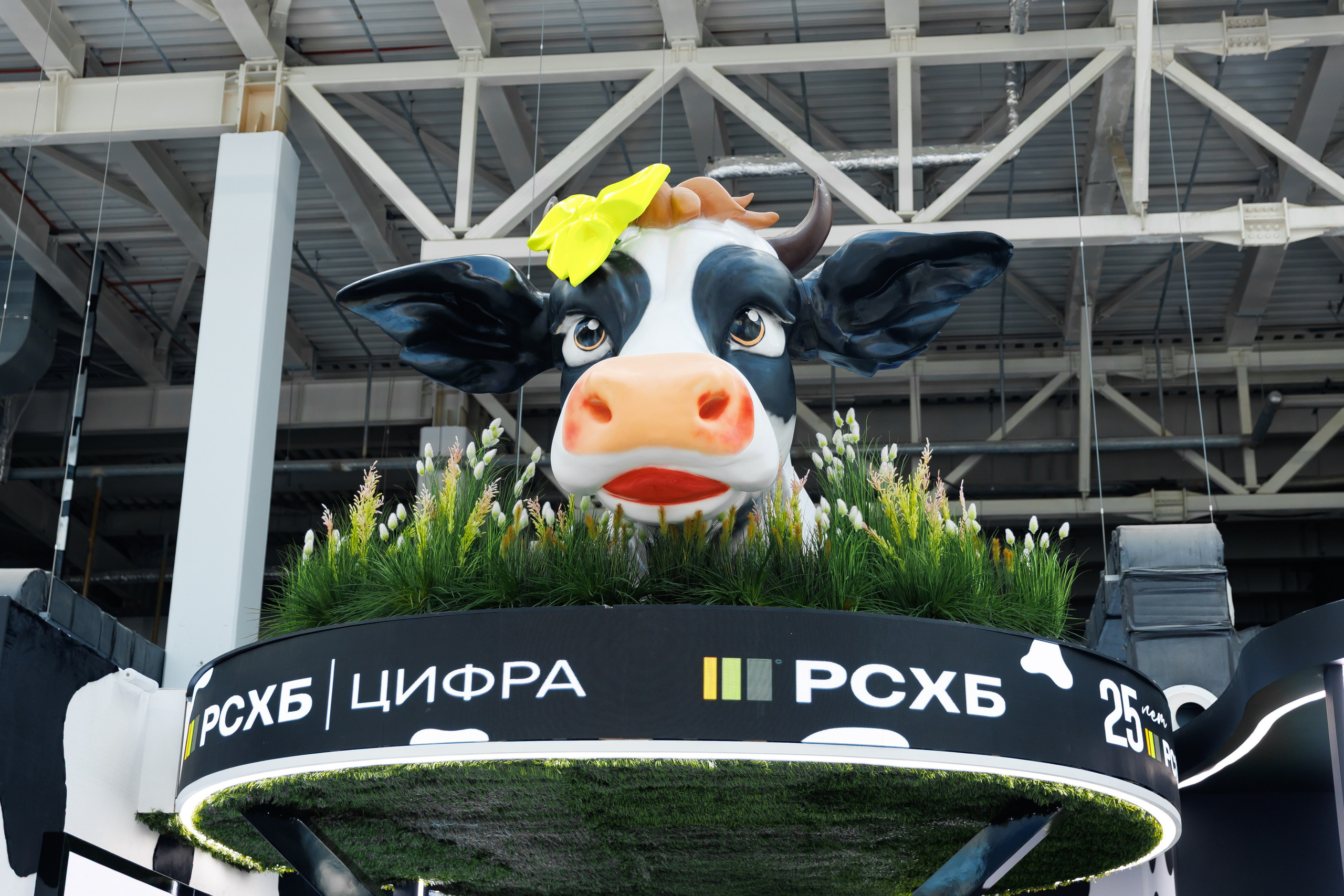 Финополис | Главный медиа-центр Сириус. Репортажный фотограф | Роза Хутор Красная Поляна Сочи Сириус