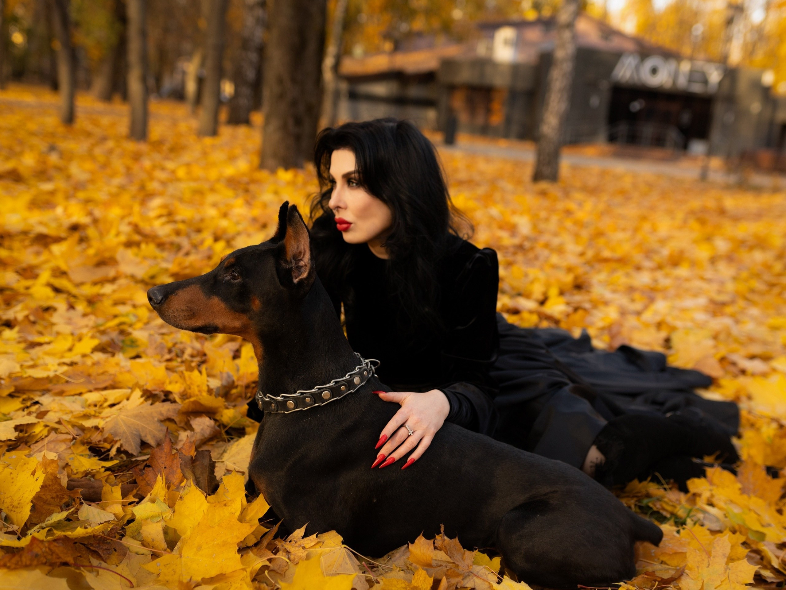 Фотосессия с Доберманом Липецк. Свадебный и семейный фотограф Виолетта в Липецке