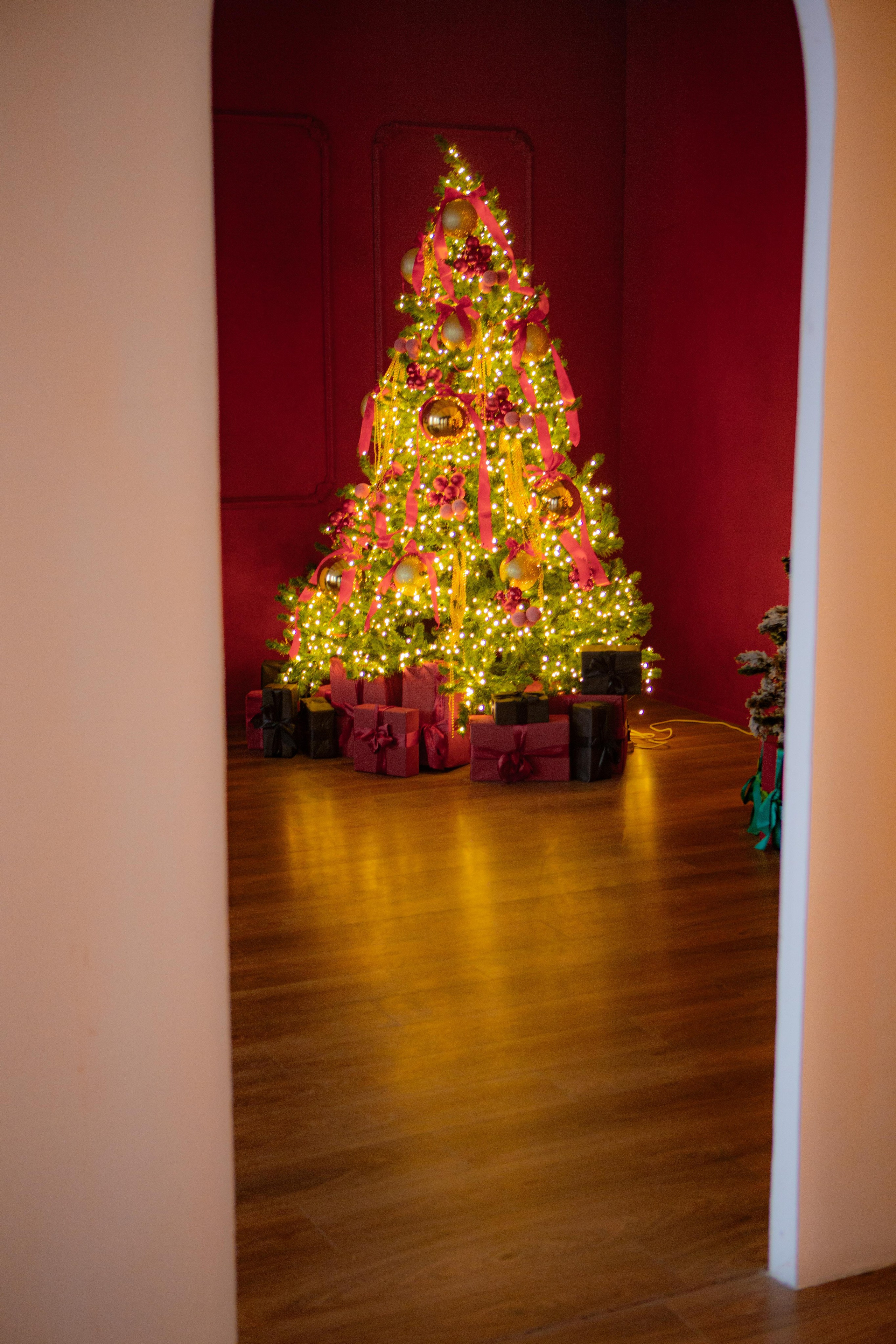 Зал КЛАССИКА 70 м². ФОТОСТУДИЯ PODIUM ЙОШКАР-ОЛА