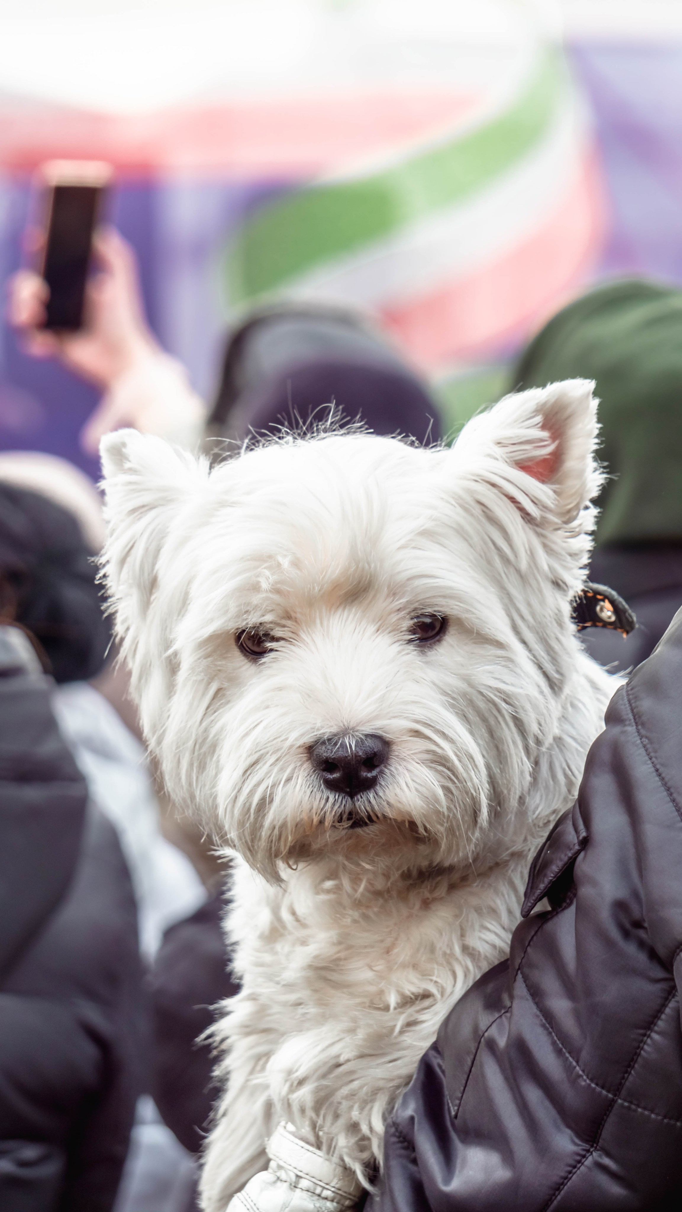 Сагаалганаар в Чите. SHDEN — Photographer | Content Creator