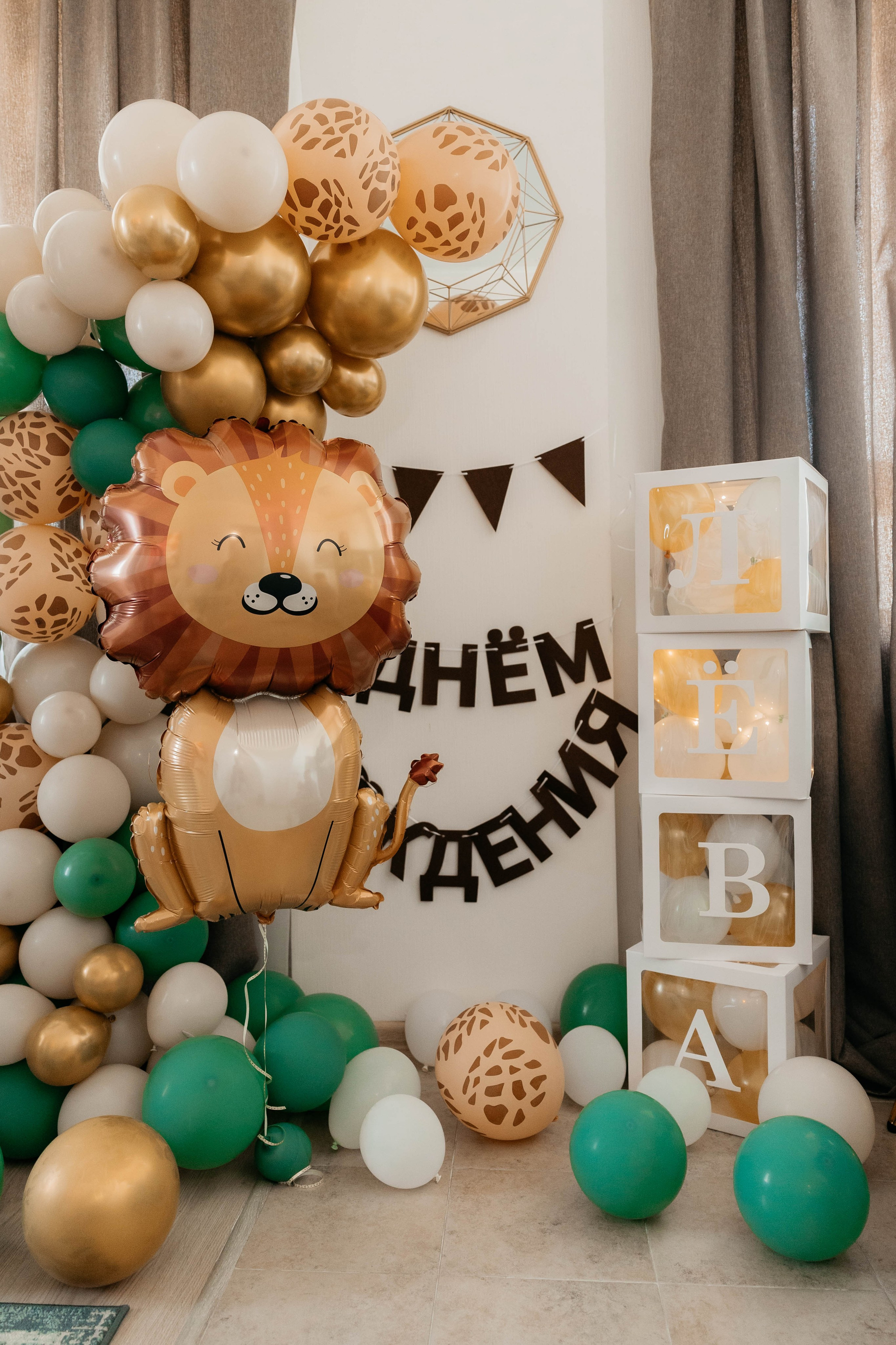 Лев. 2024 г. Персональный фотограф Катерина Литвинова