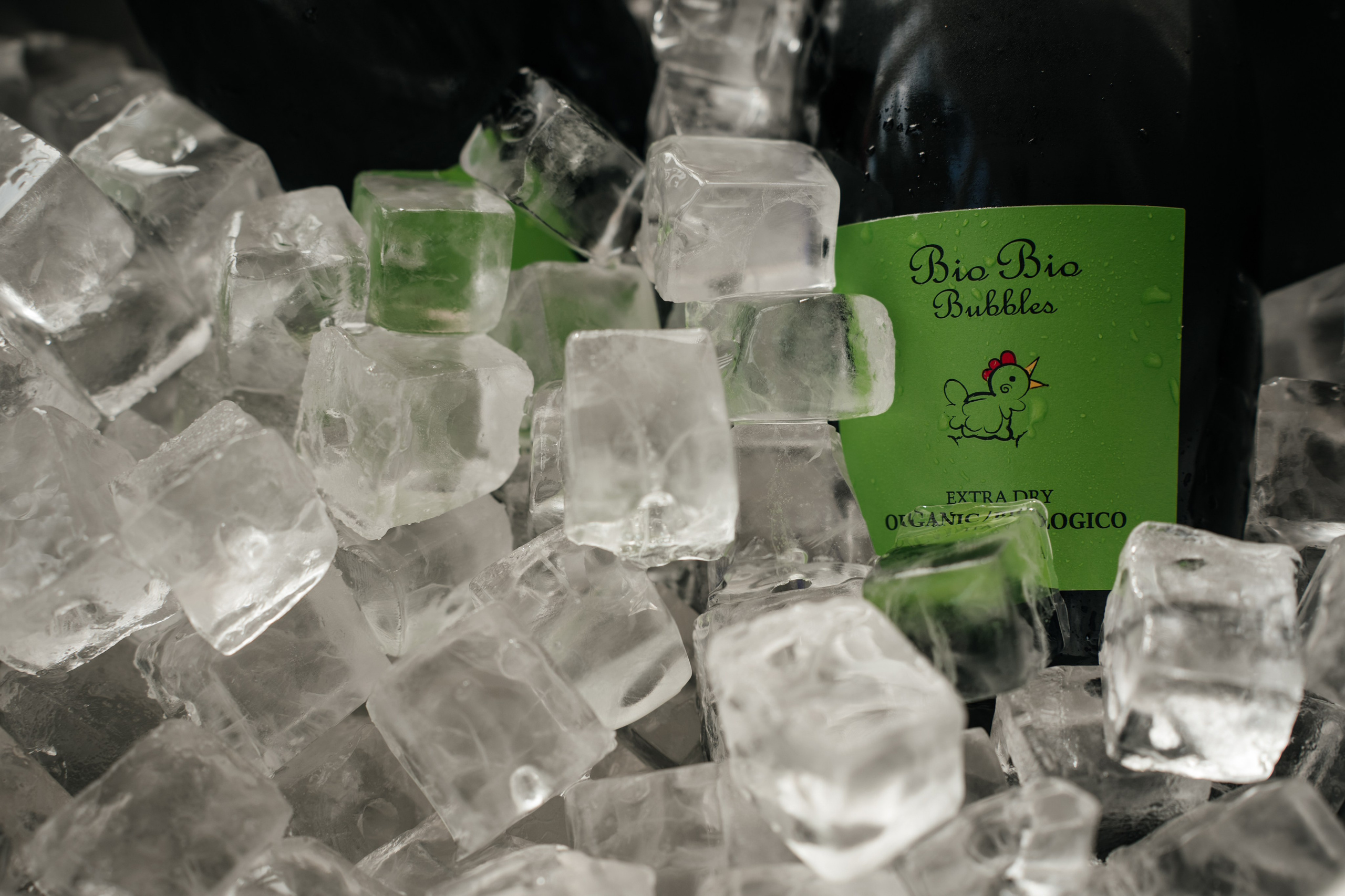 Ресторан Домик в саду, ВДНХ. Свадебный фотограф Москва Александра Аверкова