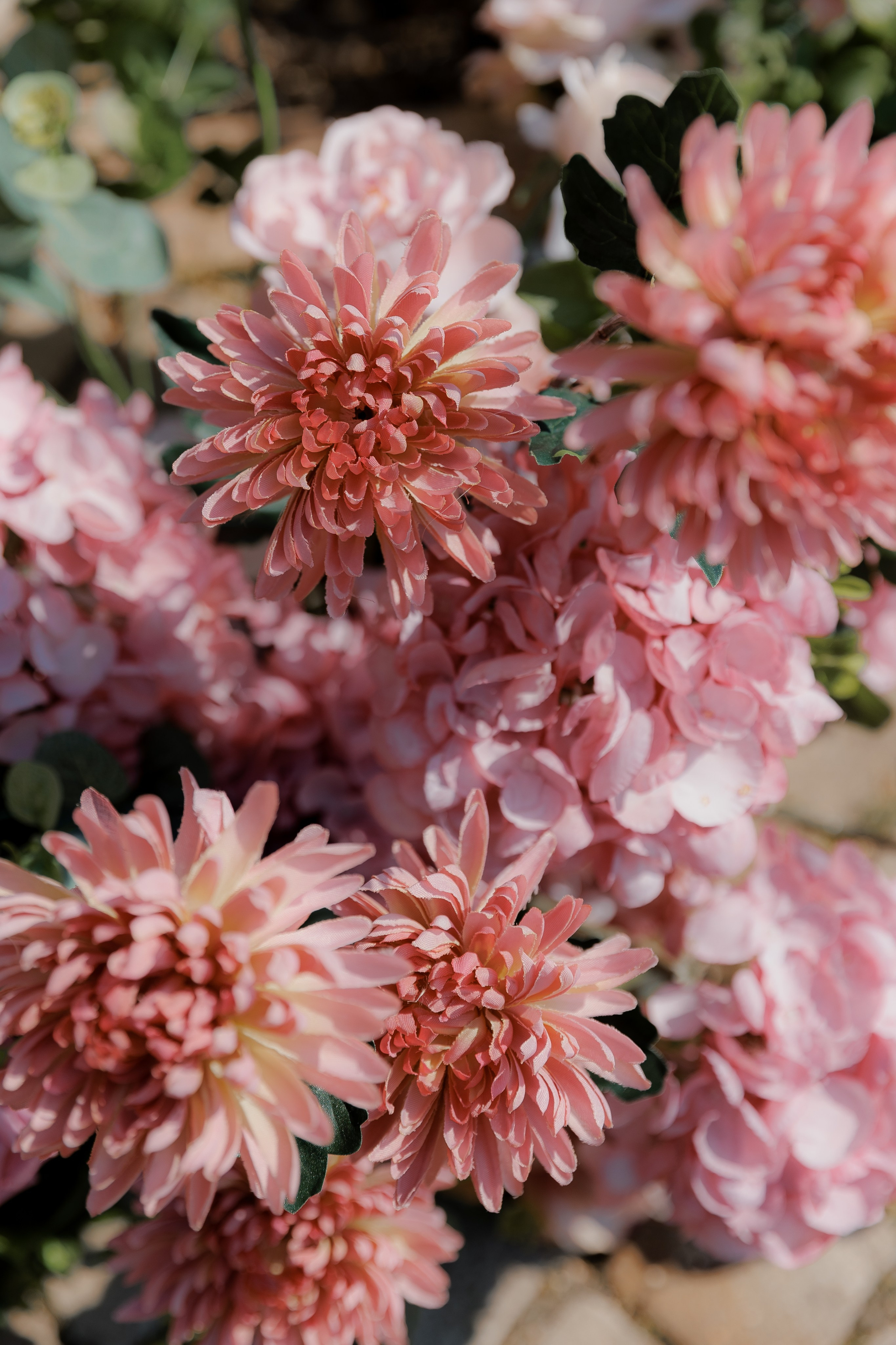 Свадьба в Сенешаль. Свадебный фотограф Екатерина Тимукина