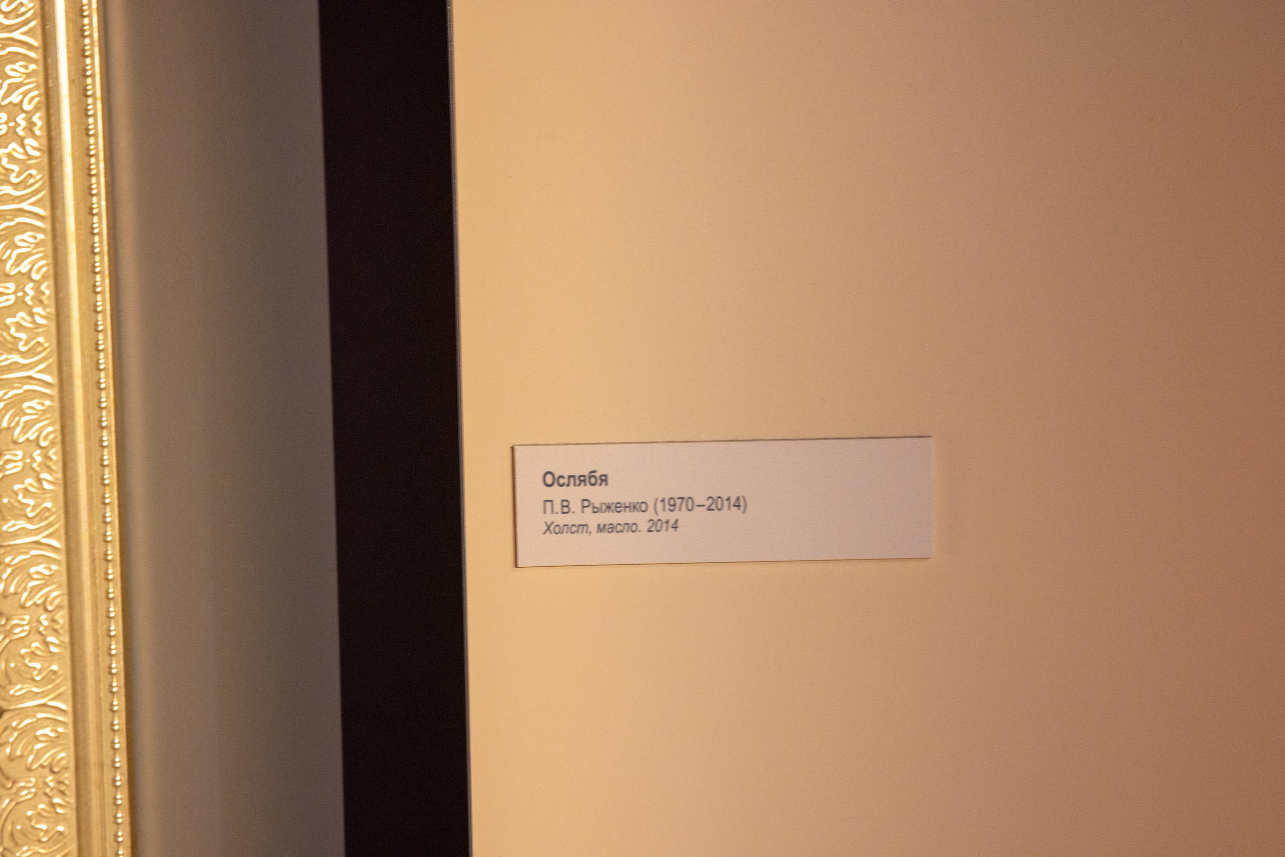 Поездка на поле Кулеково. Фотограф в Туле Крупский АнДРей. Фотостудия «КАДР71» в Туле