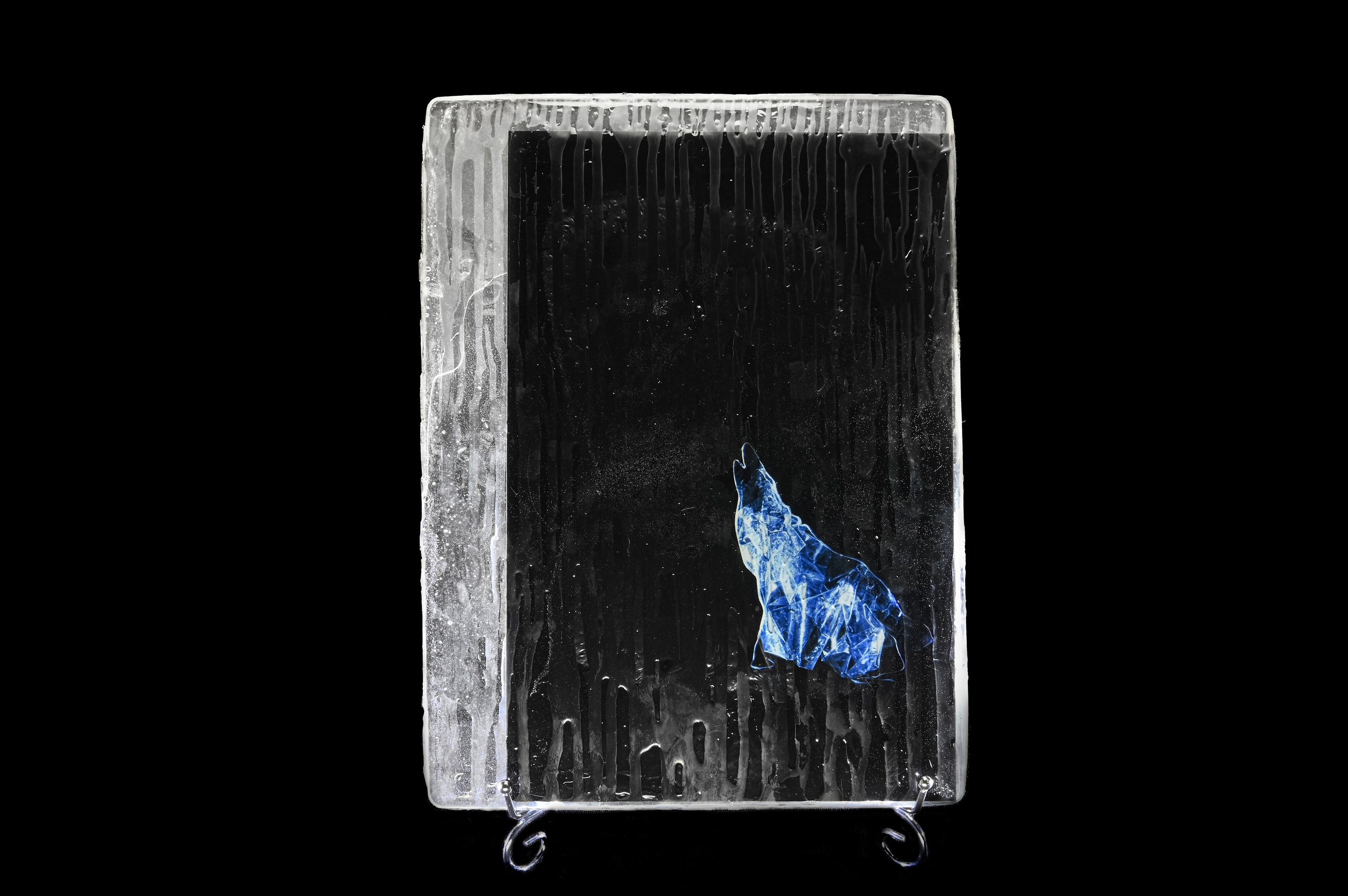 Волк острова Банкс. 2024 год. Размер : 30 см на 40 см. LightJet бумага Pearl, ламинация хол.глянцевая, накатка Dibond, эпоксидная смола. Цена по запросу