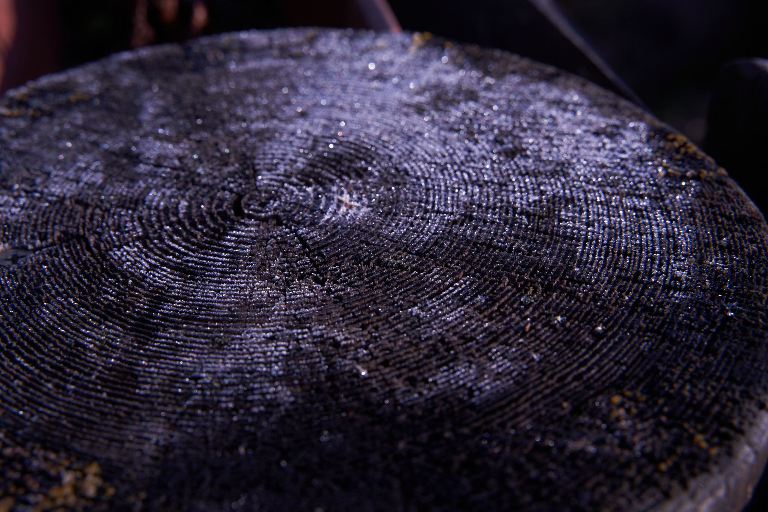 Бекстейдж съемки сериала. Krasnopoliophoto