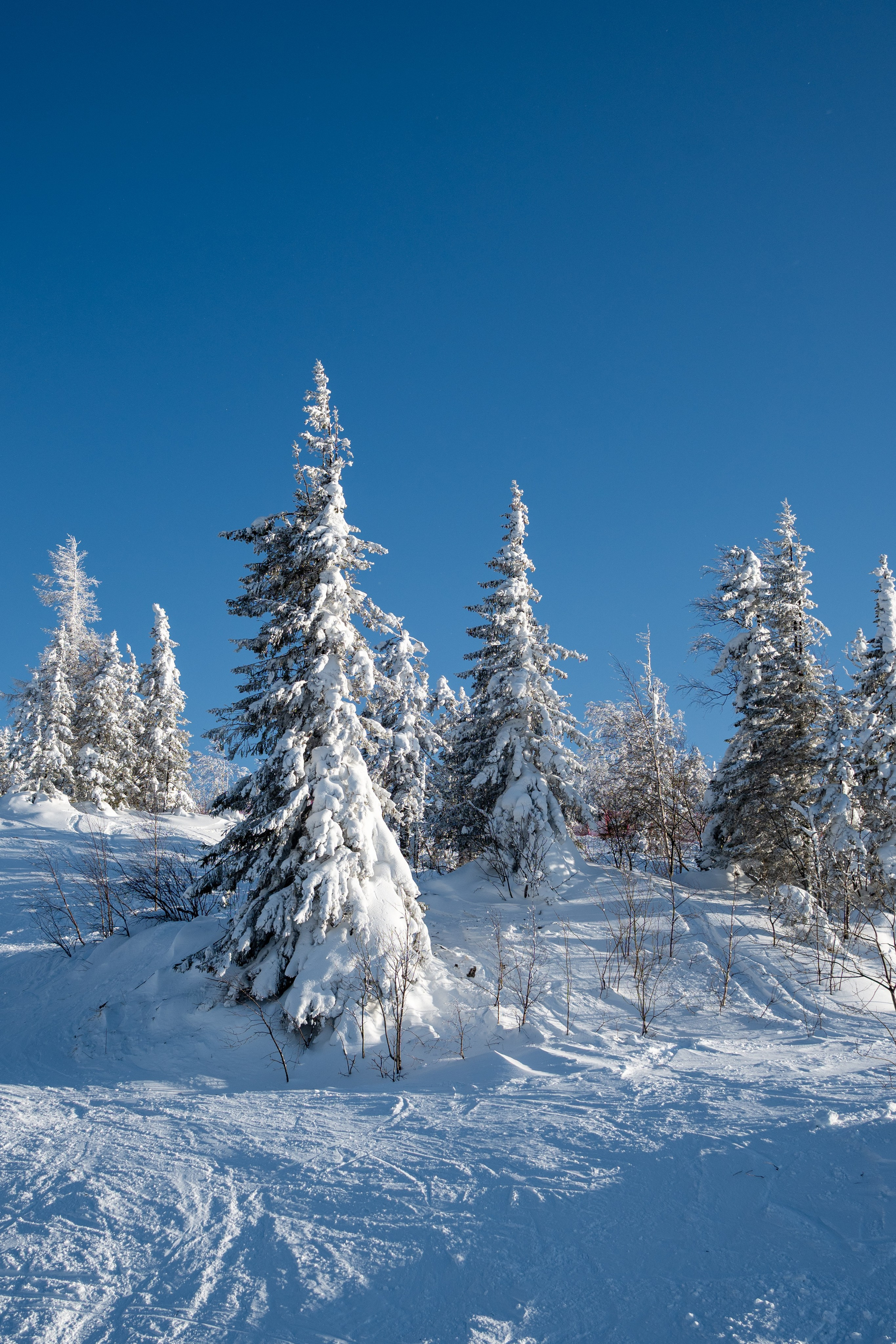 Репортаж/Портреты. …