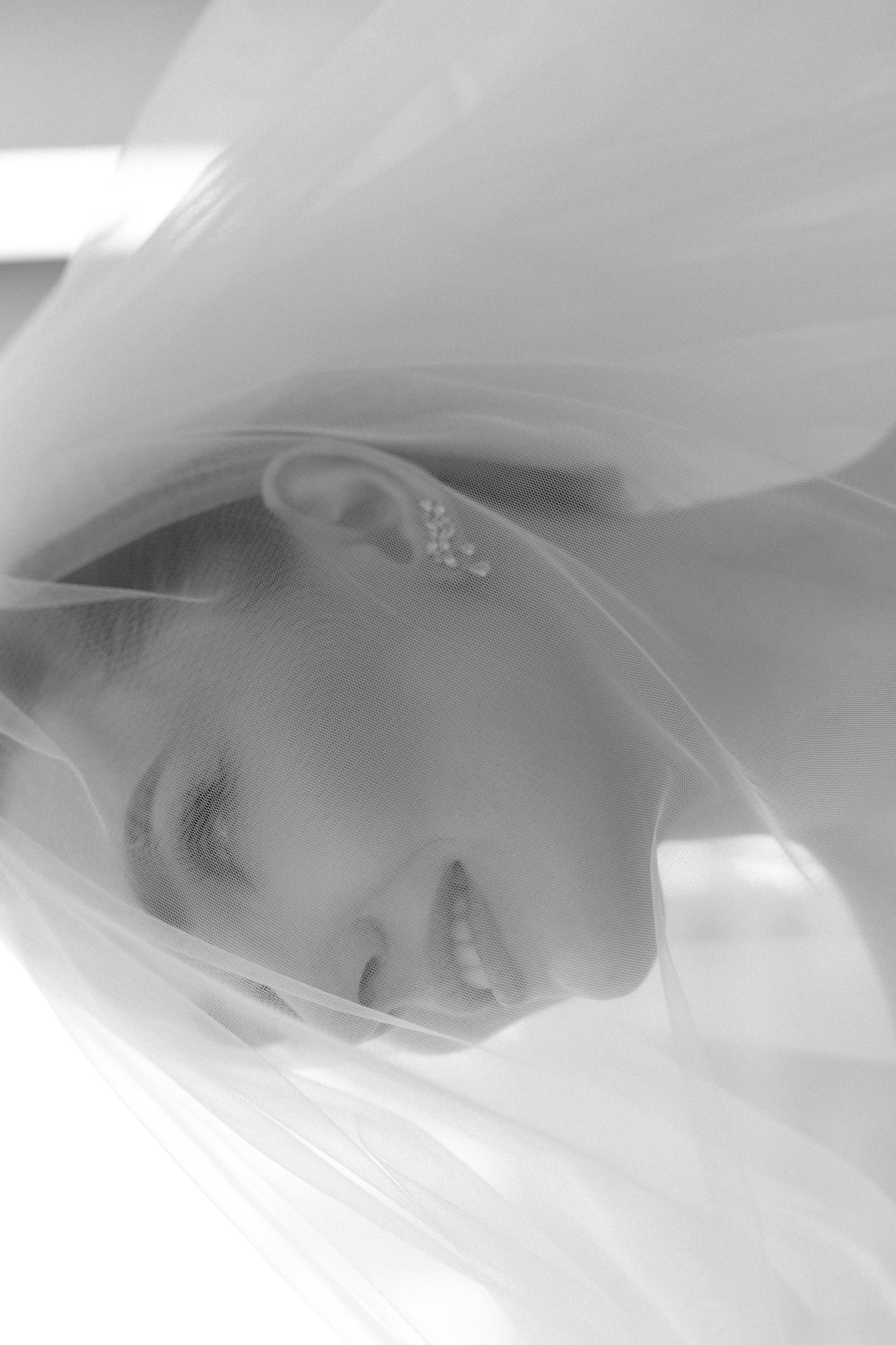 Vladlena & Bogdan's wedday. Индивидуальные и свадебные фотосессии | Донецк, Москва, Ростов-на-Дону