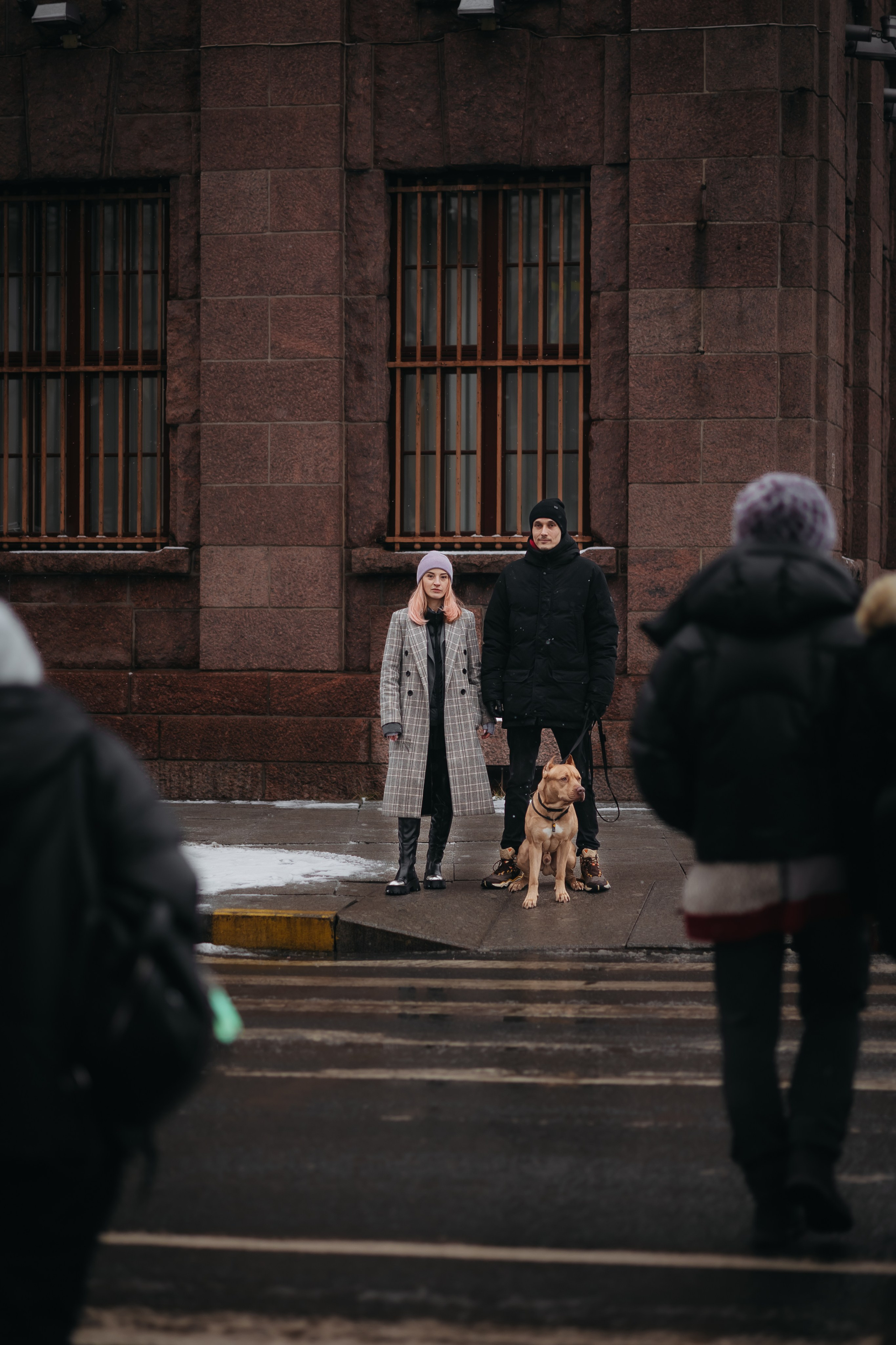 Саша, Света и Ицар. Фотограф-анималист в Санкт-Петербурге Алина Яхонт