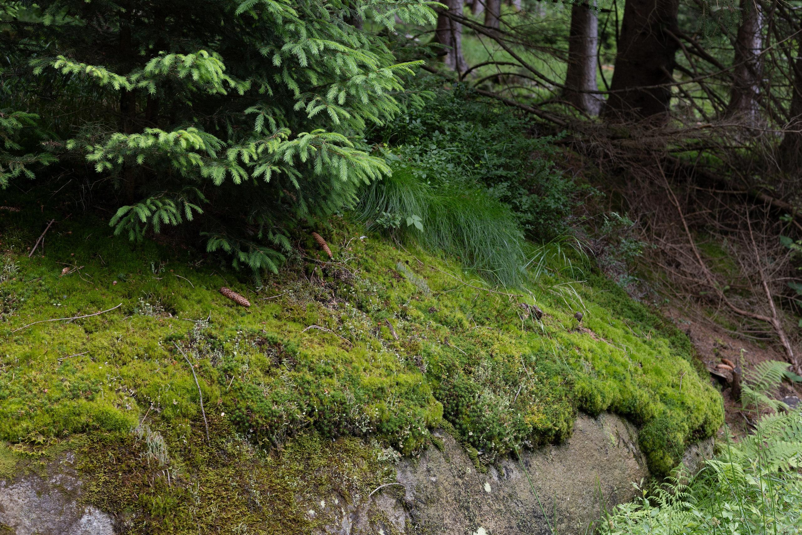 Bischofsgrün. ITMAG.ME | Visual Art