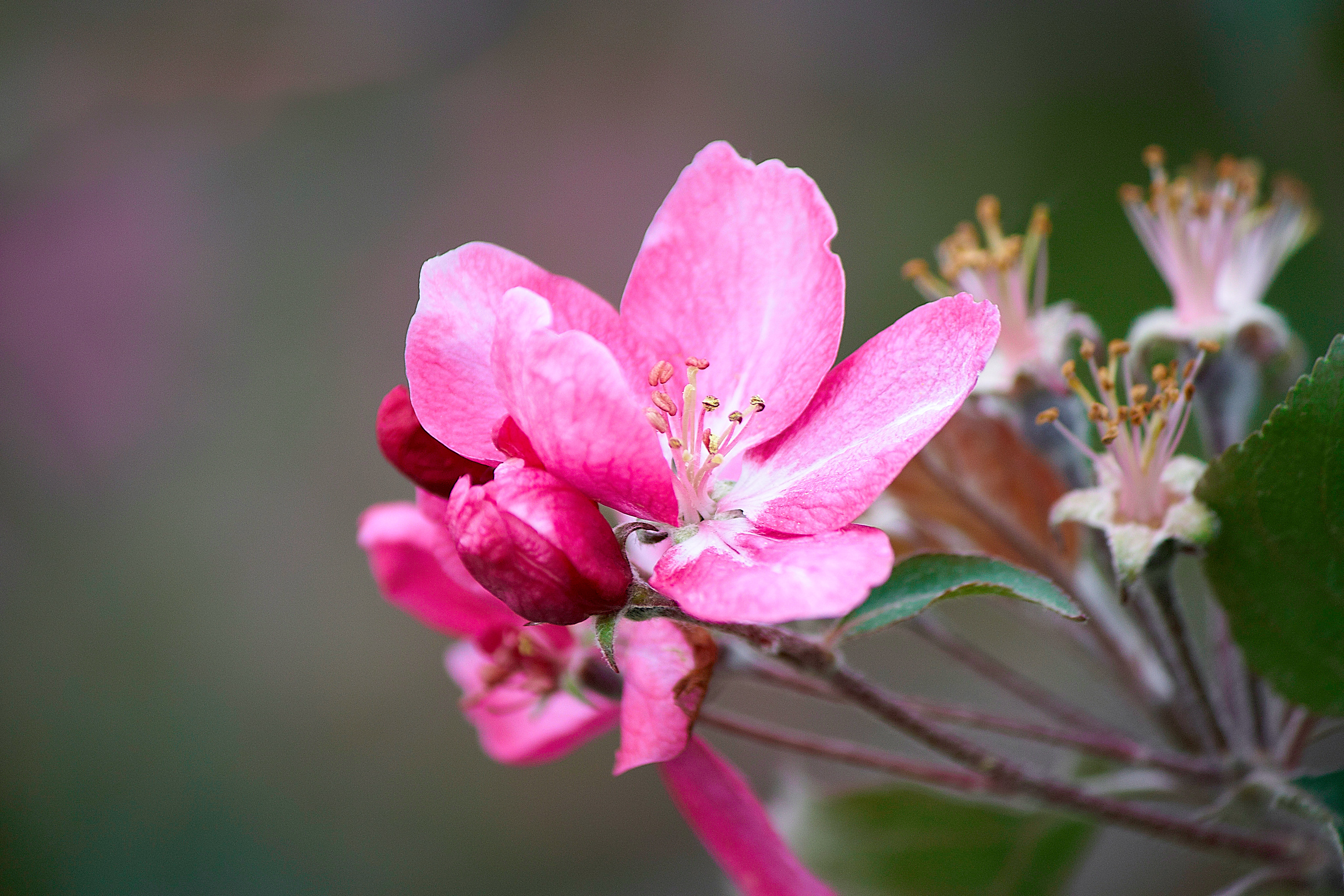 Коллекция пейзажных фотографий. Photographer Sonkina Tatiana (Tanya Ash)