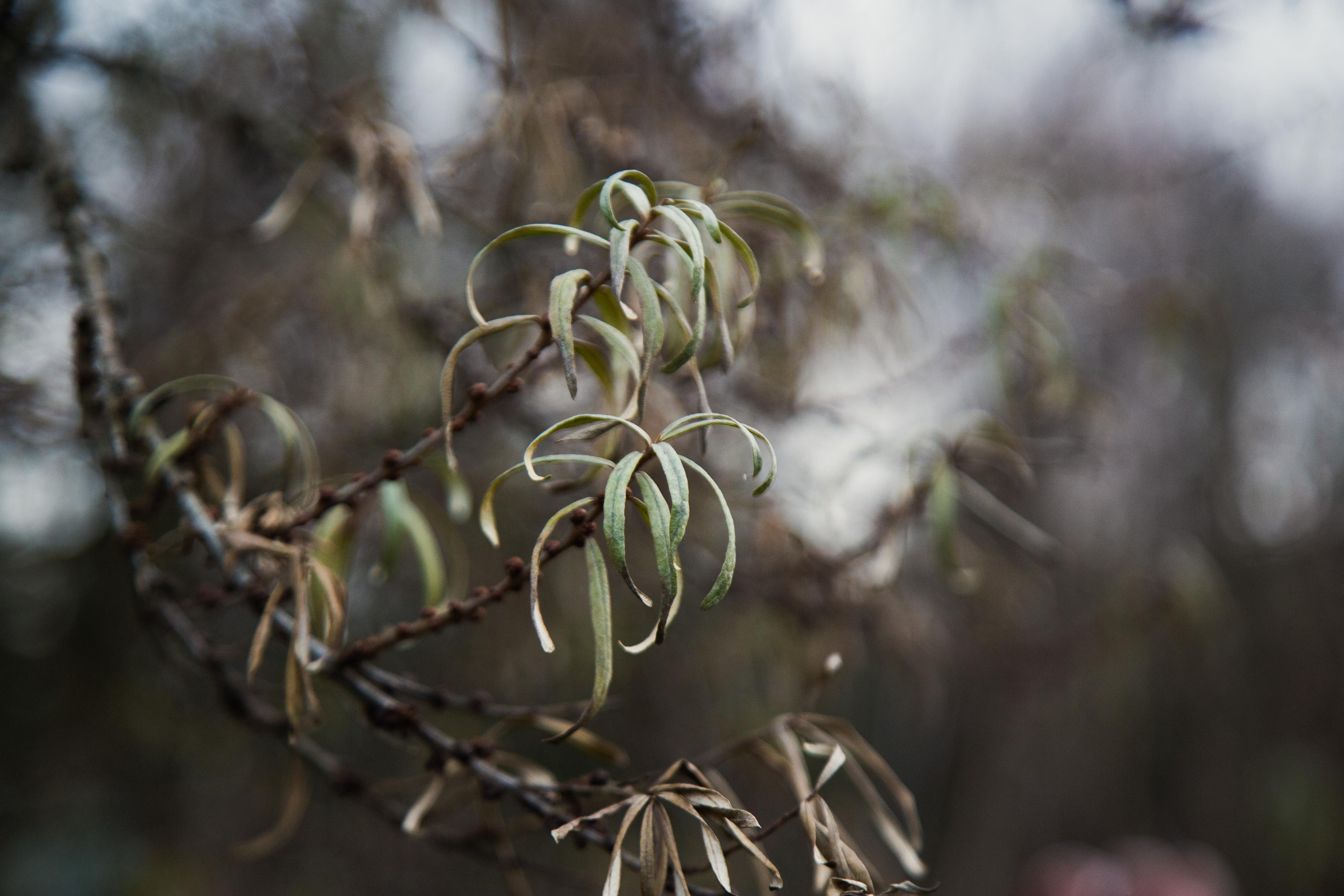 Коллекция пейзажных фотографий. Photographer Sonkina Tatiana (Tanya Ash)