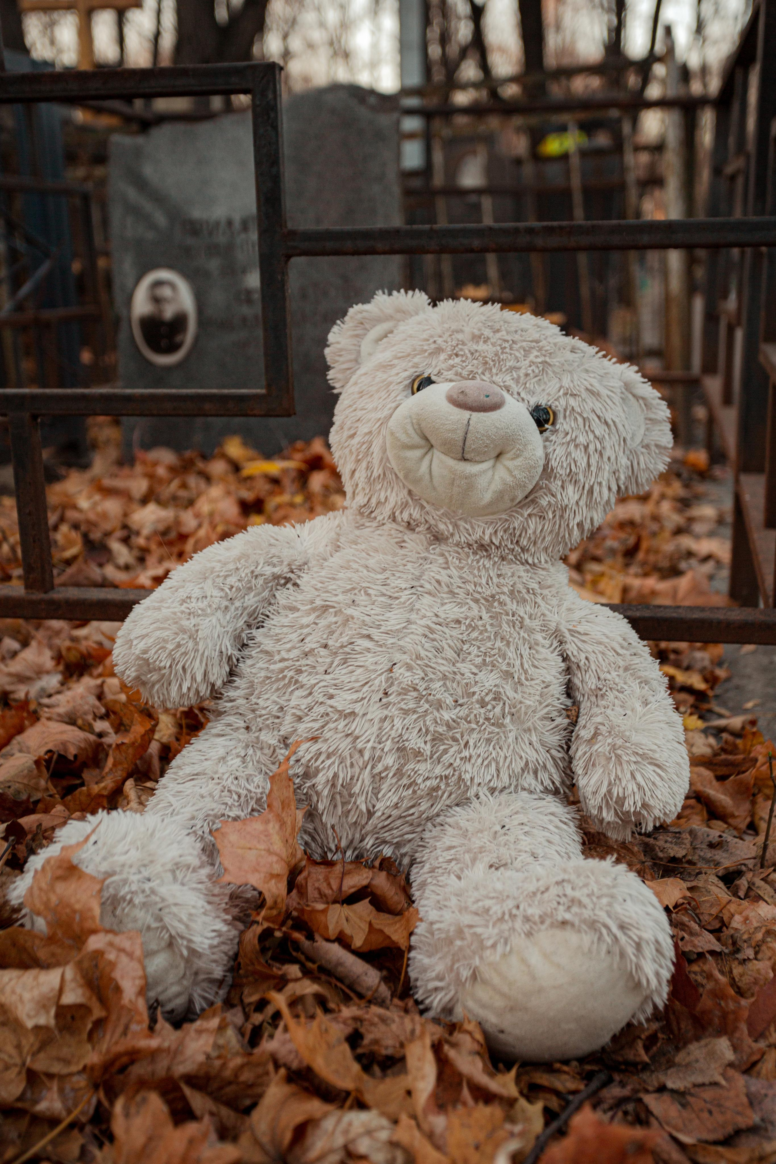 Введенское кладбище, Москва