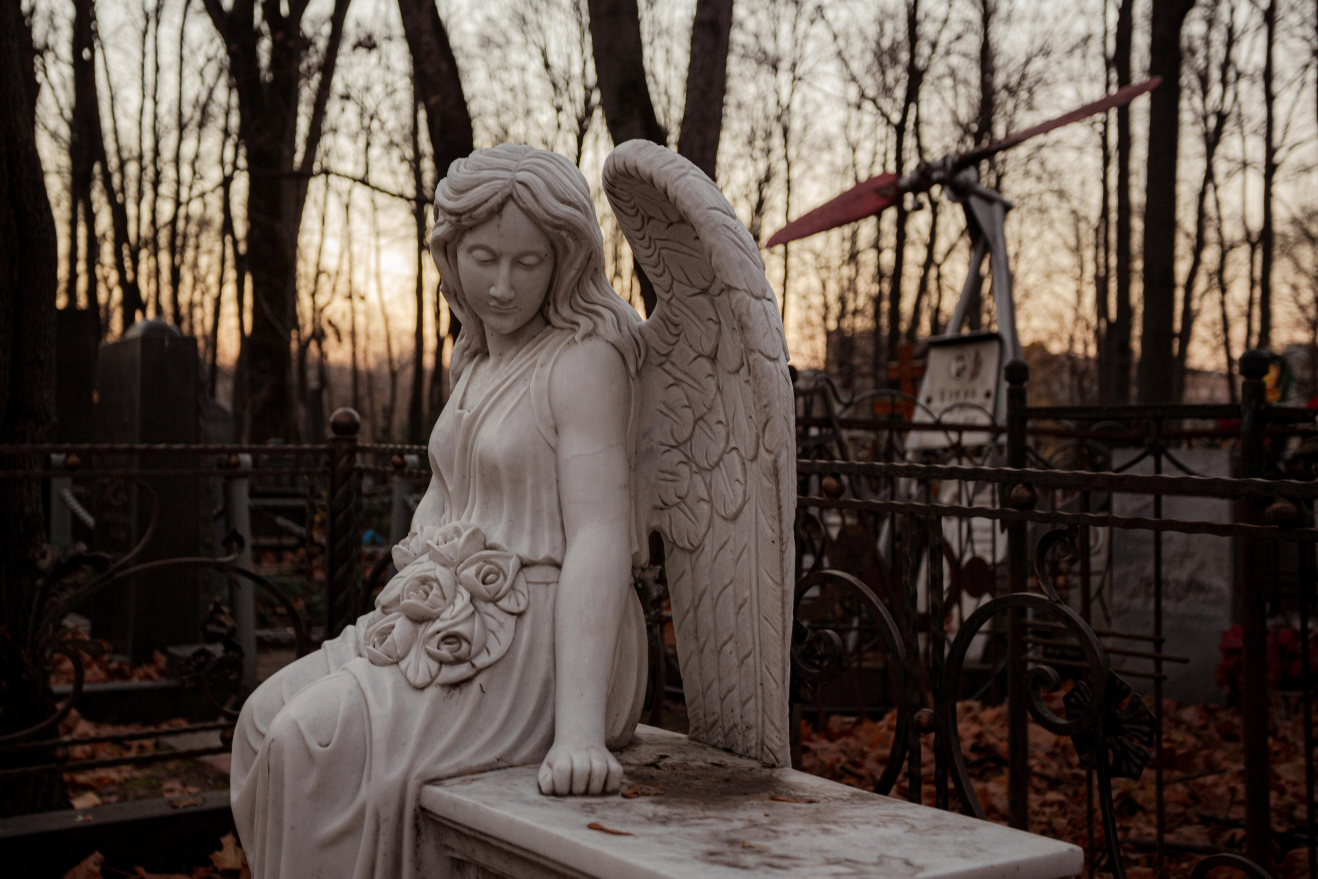 Введенское кладбище, Москва