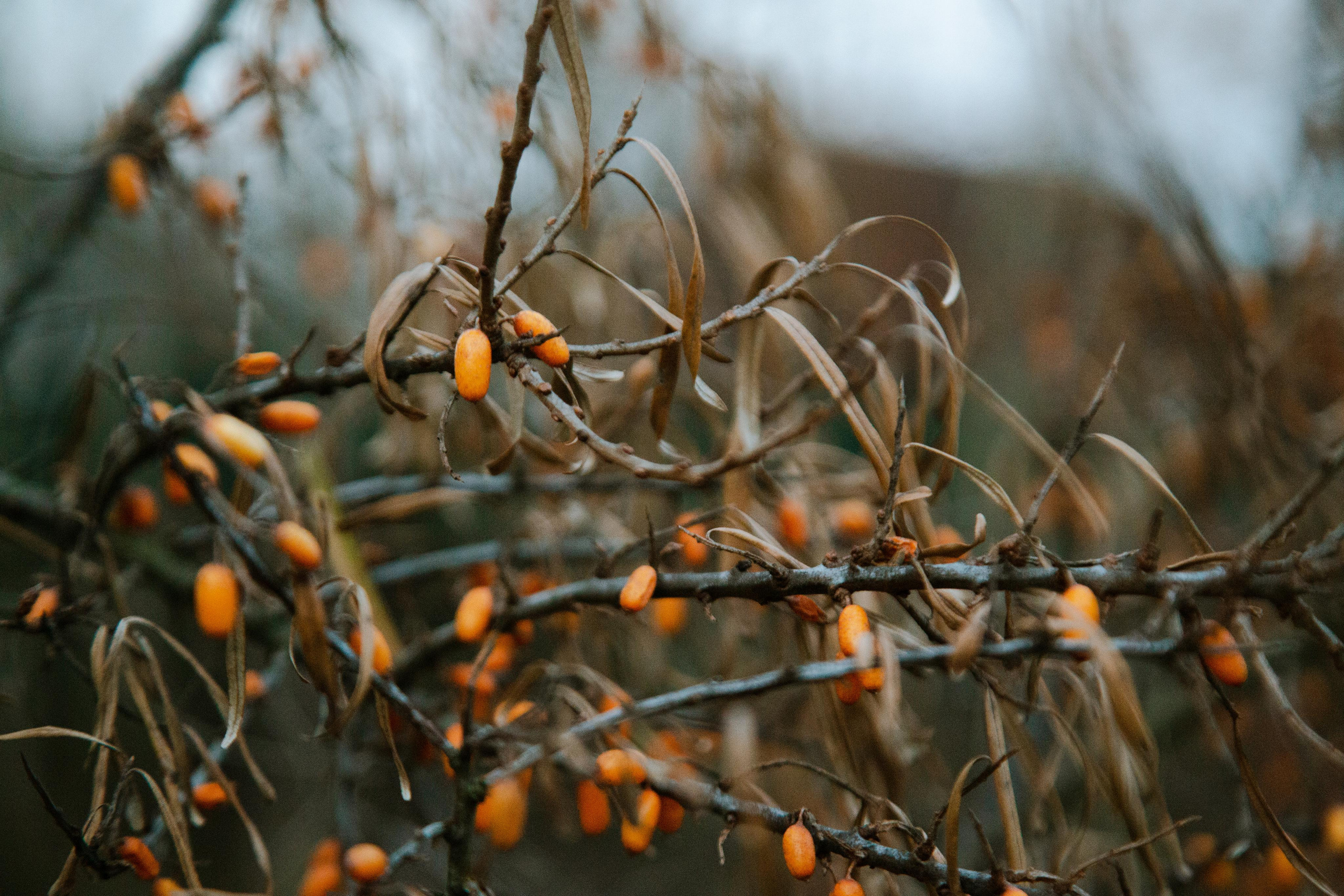 Коллекция пейзажных фотографий. Photographer Sonkina Tatiana (Tanya Ash)