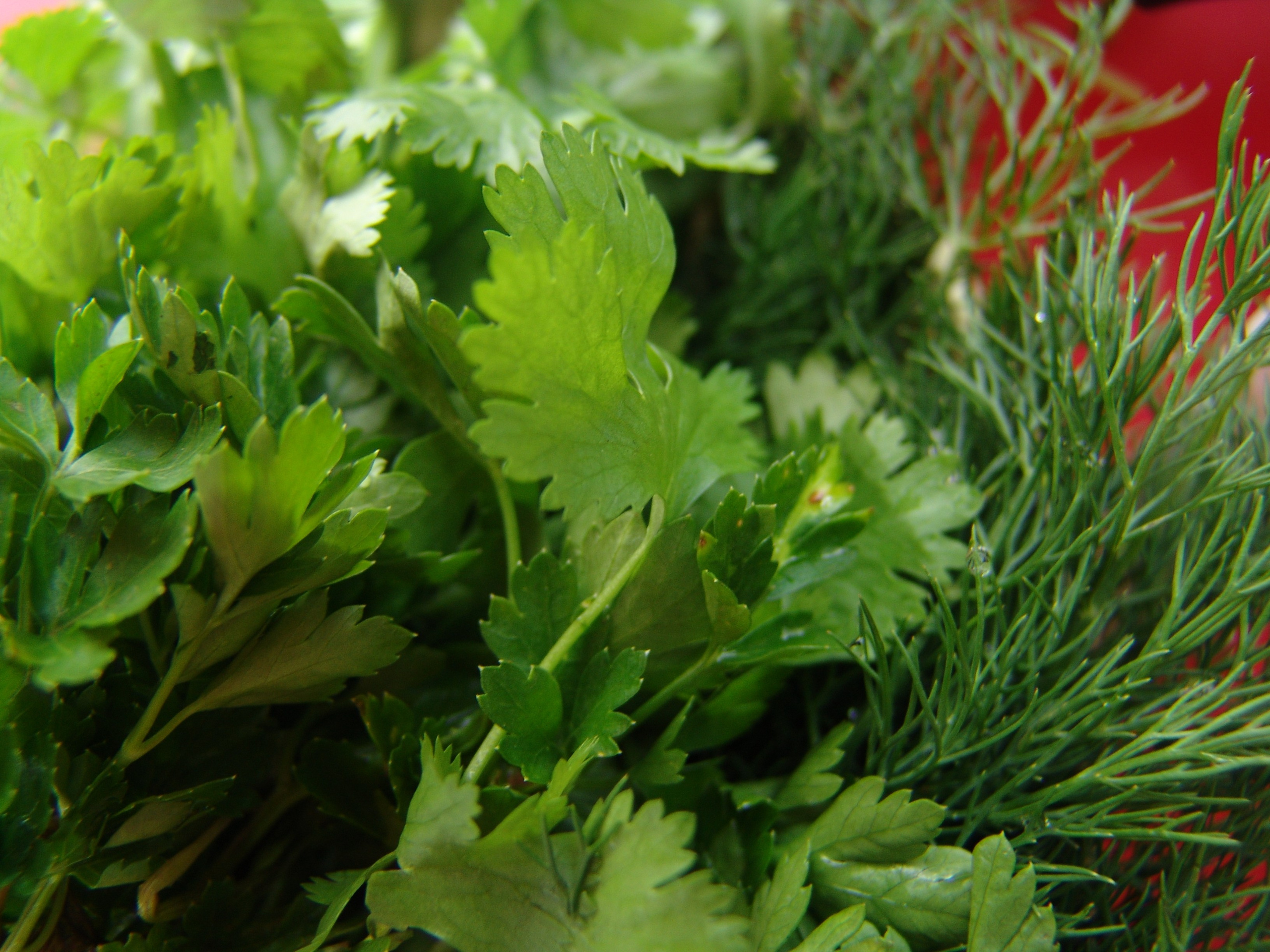 Приезд КС 2005. Заставка