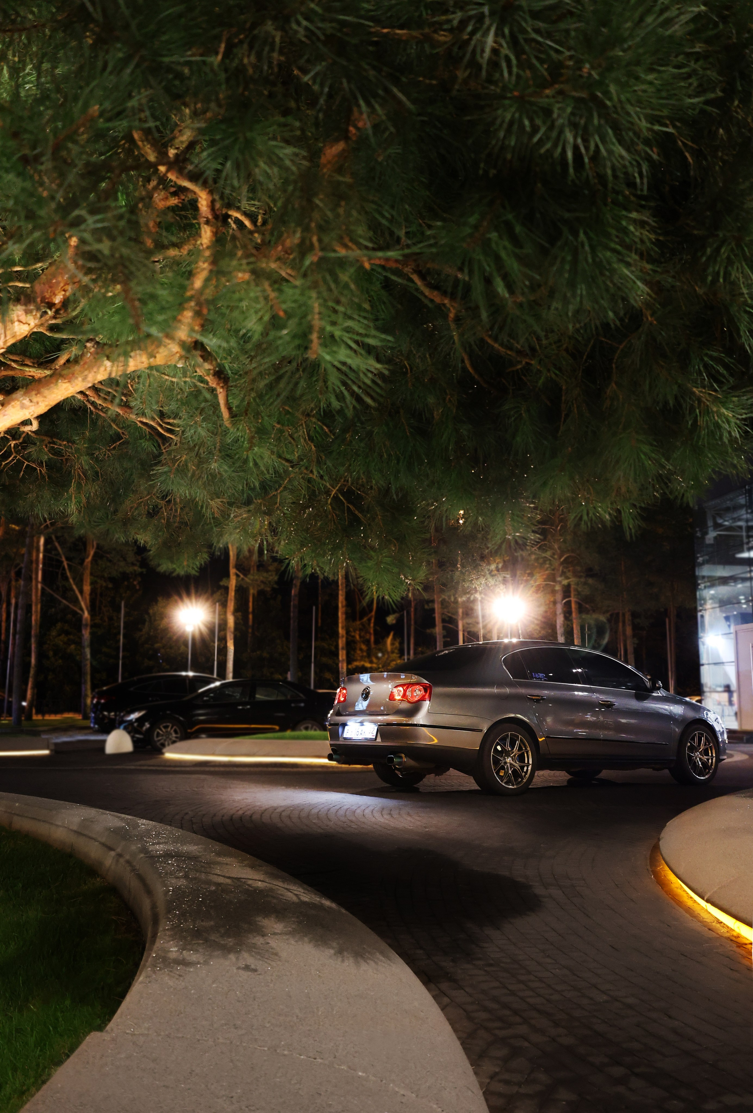 VW Passat. Фотограф Анна Гаврилова