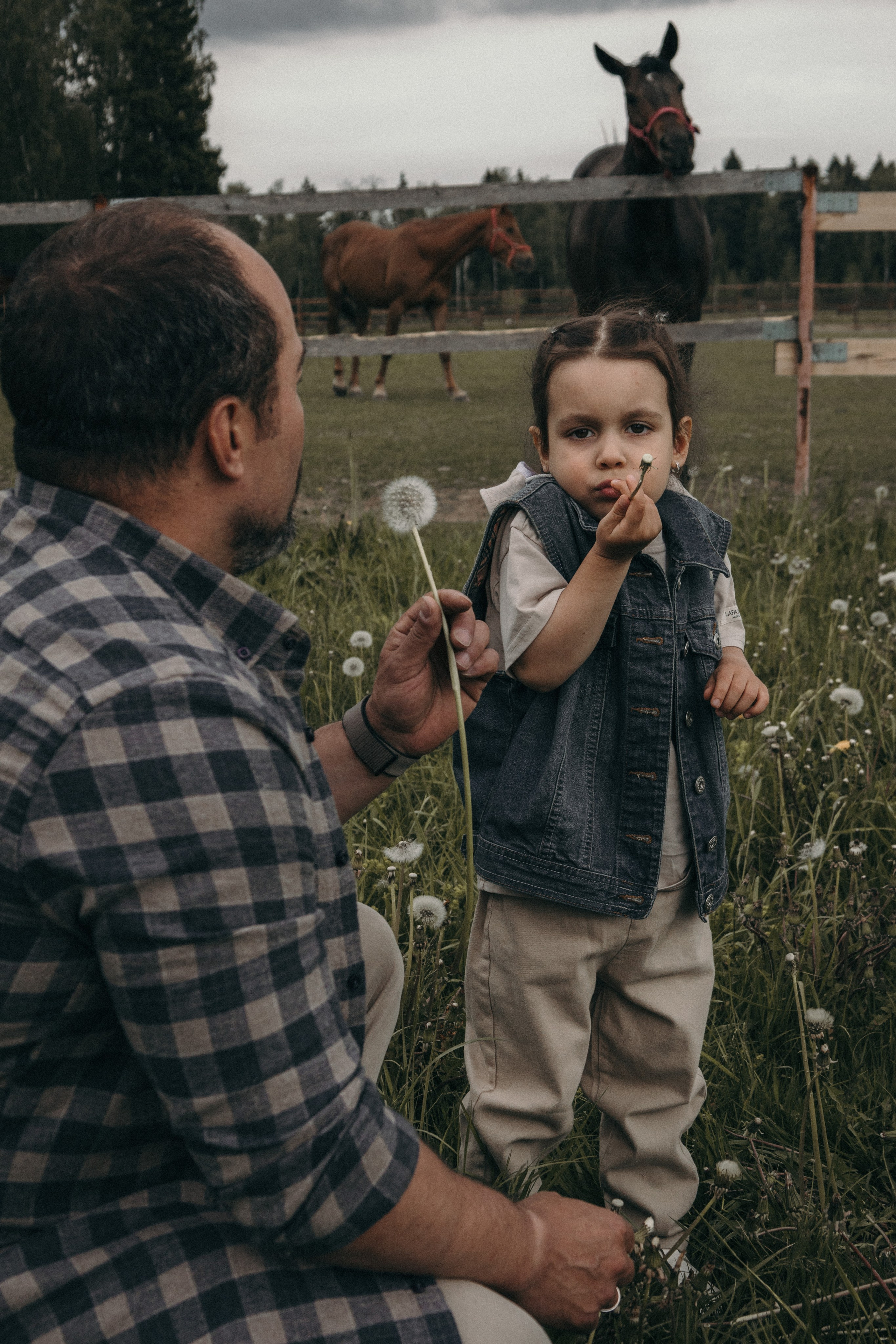 Фотосессия с лошадками Подмосковье. Семейный фотограф в Москве, Щелково, Фрязино _ Виктория Степанова