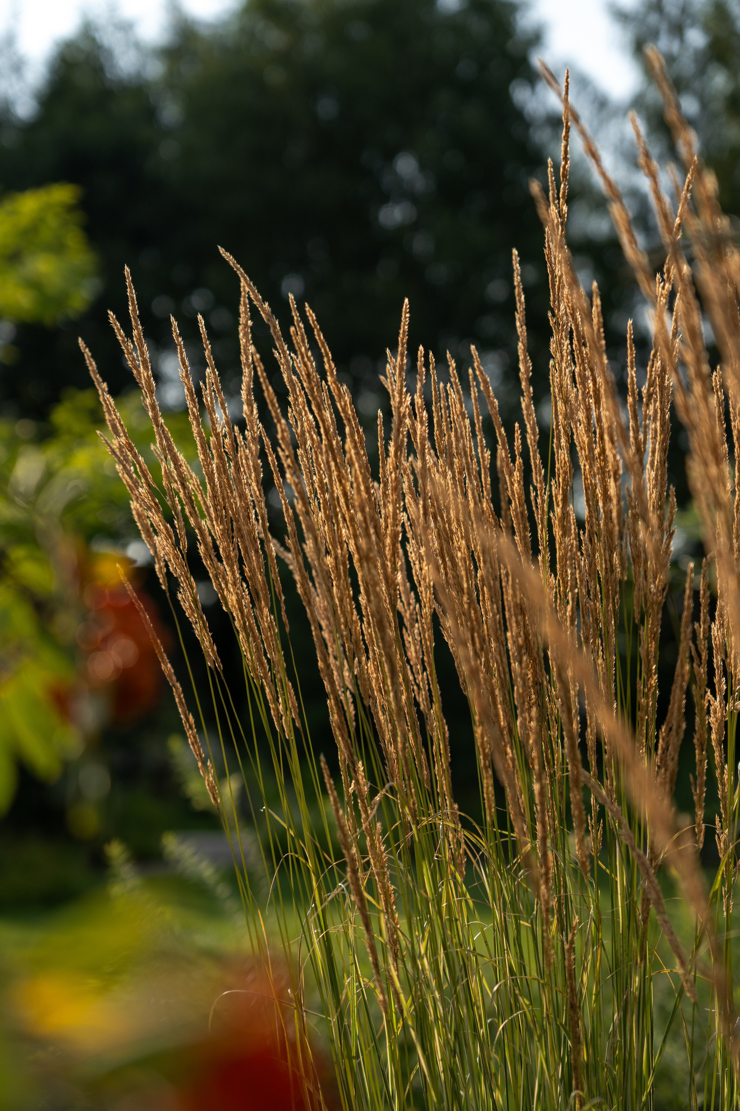 Private house, Tver region, Konakovo. Артамонов Александр | Архитектурный и ландшафтный фотограф