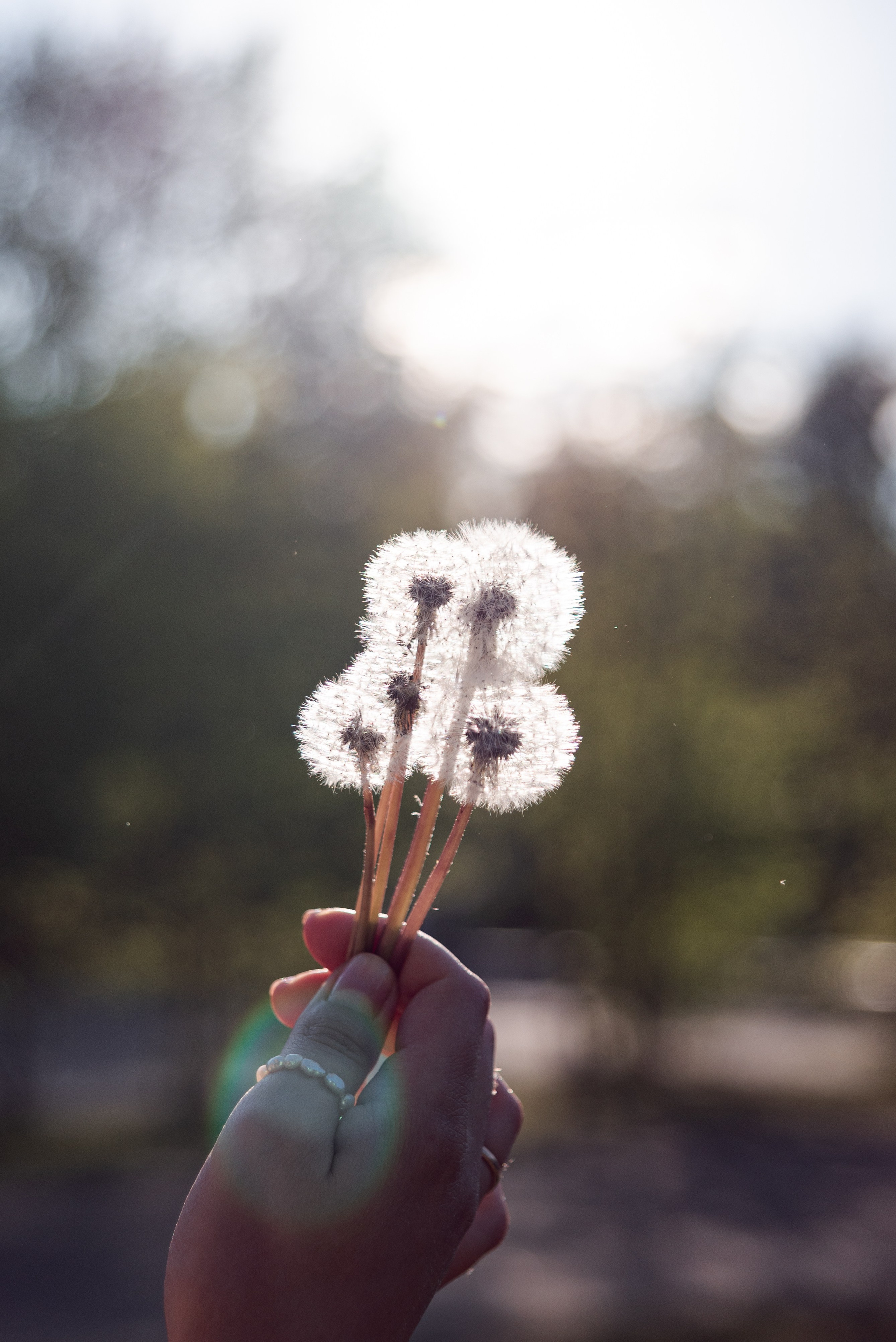 ЖЕНЯ. Фотограф в Ярославле Грибанова Ирина