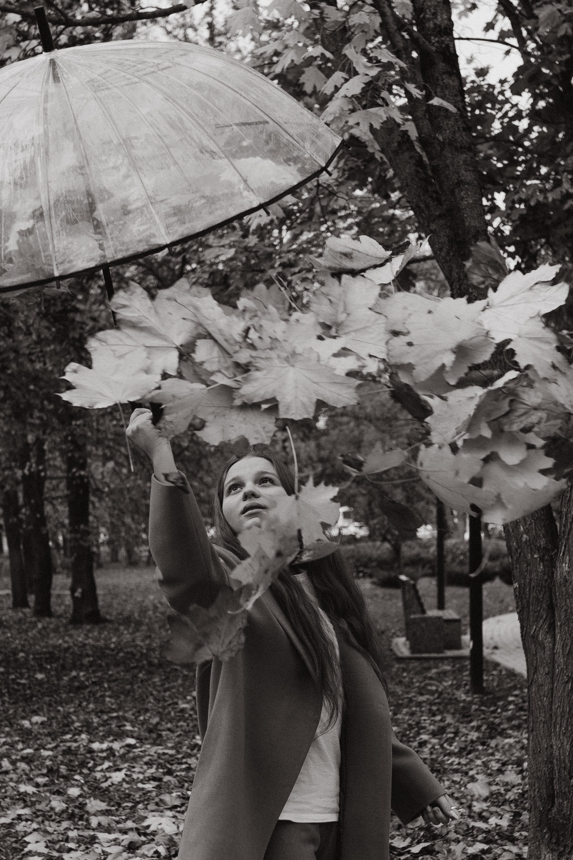 Золотая осень. Индивидуальная съёмка. Фотограф в Ставрополе Svetlana Matveeva