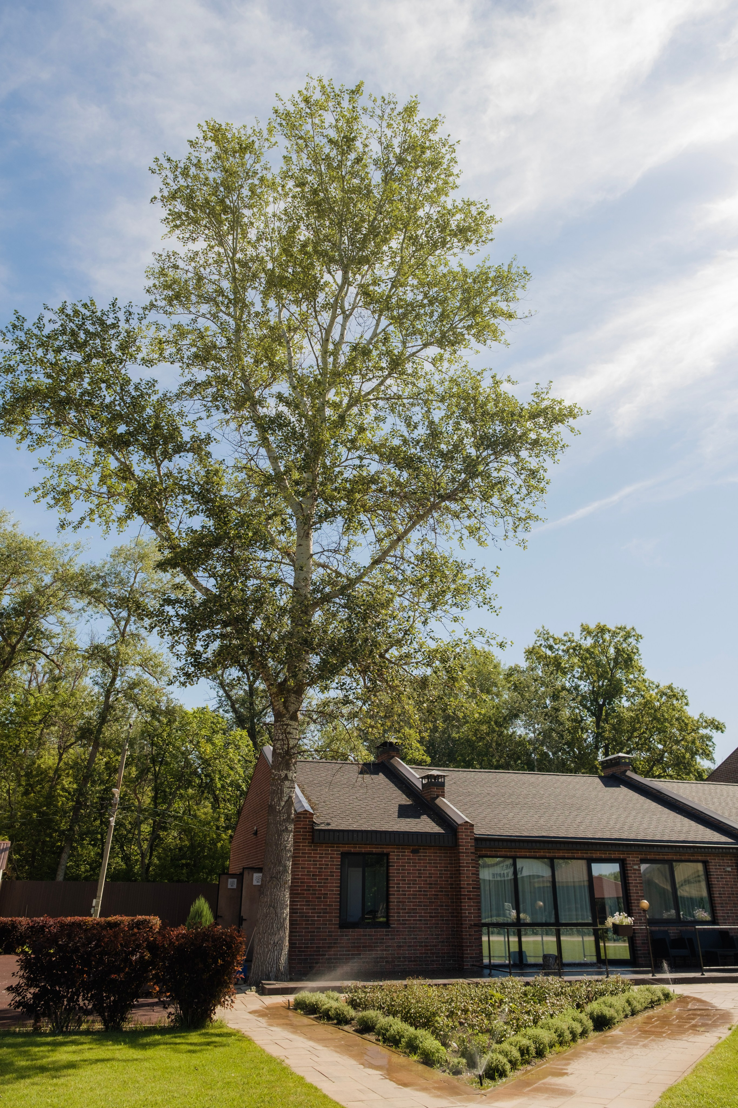 Нет на Карте. Wedding photographer