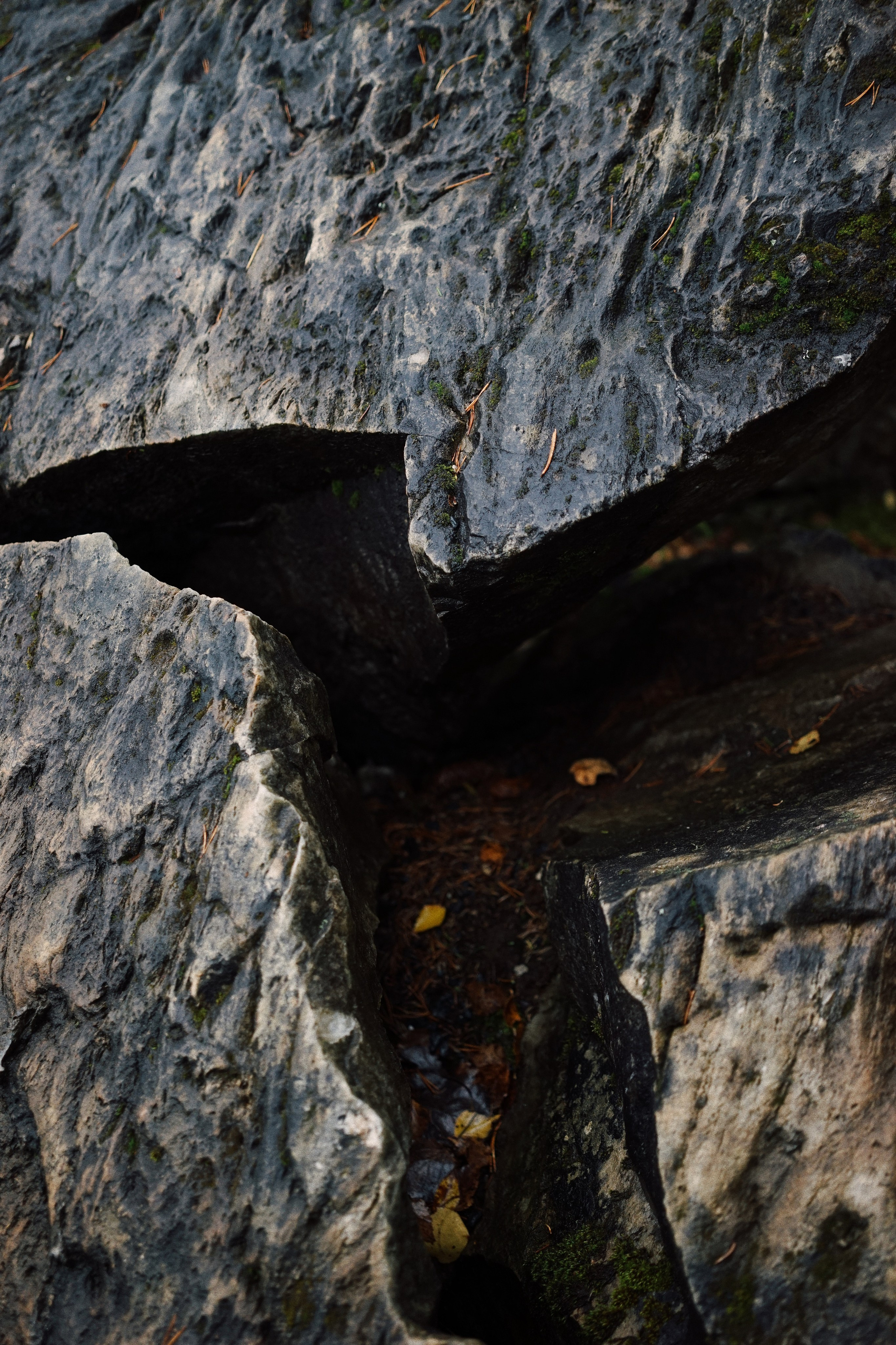 Nature. Ксения Копна. Фотограф из Санкт-Петербурга