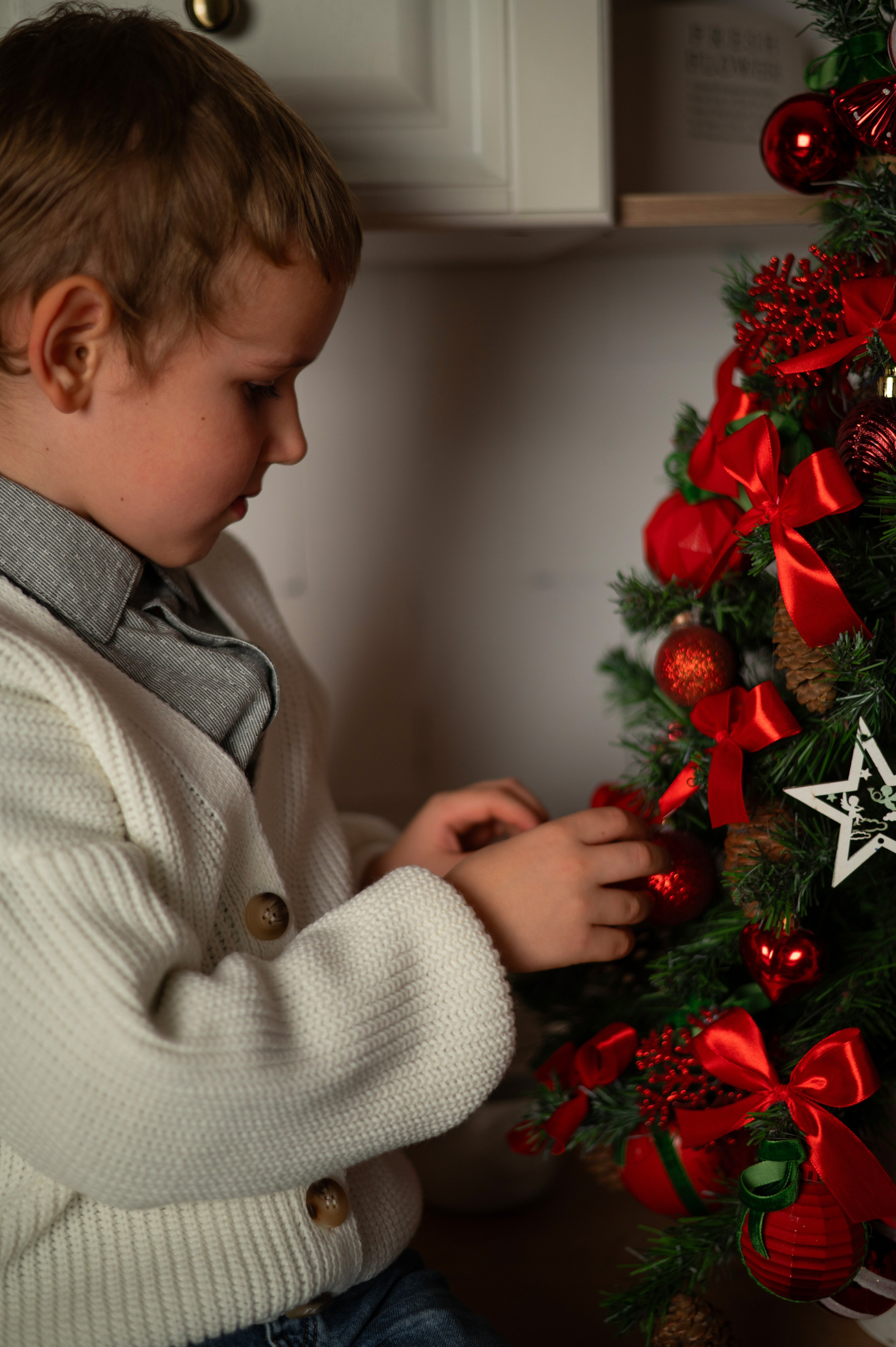 Новогодняя в Мелоди. Женский фотограф Санкт-Петербург Александра Колий