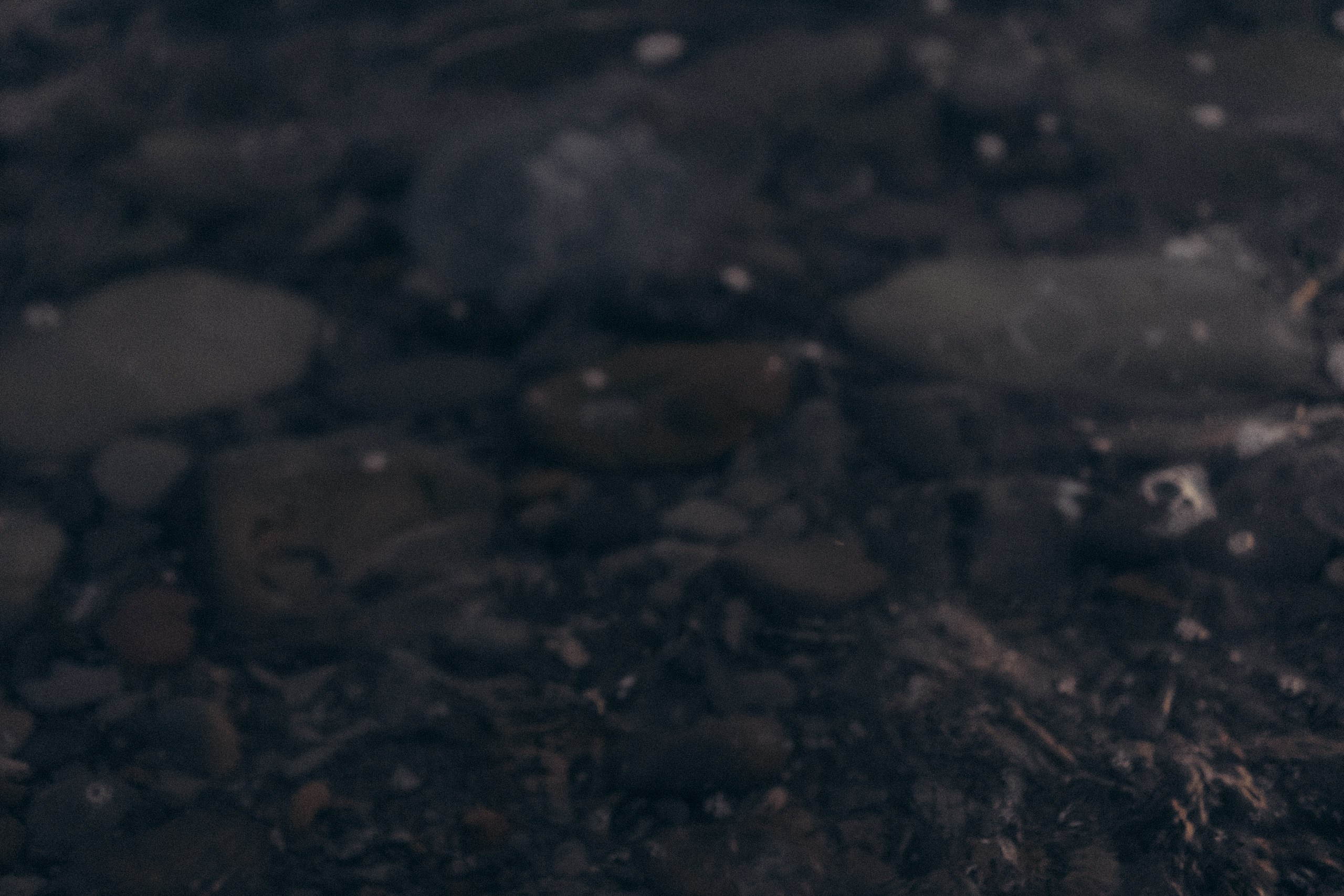 Вечерняя прогулка по Анапе. Профессиональный фотограф, Санкт-Петербург — Виктория Богомолова