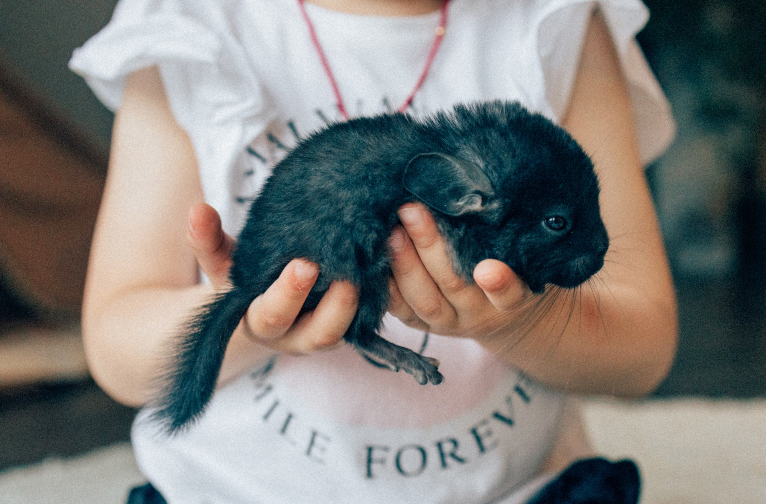 Lifstyle Фролкины. Семейный, женский и детский фотограф Татьяна Колобаева