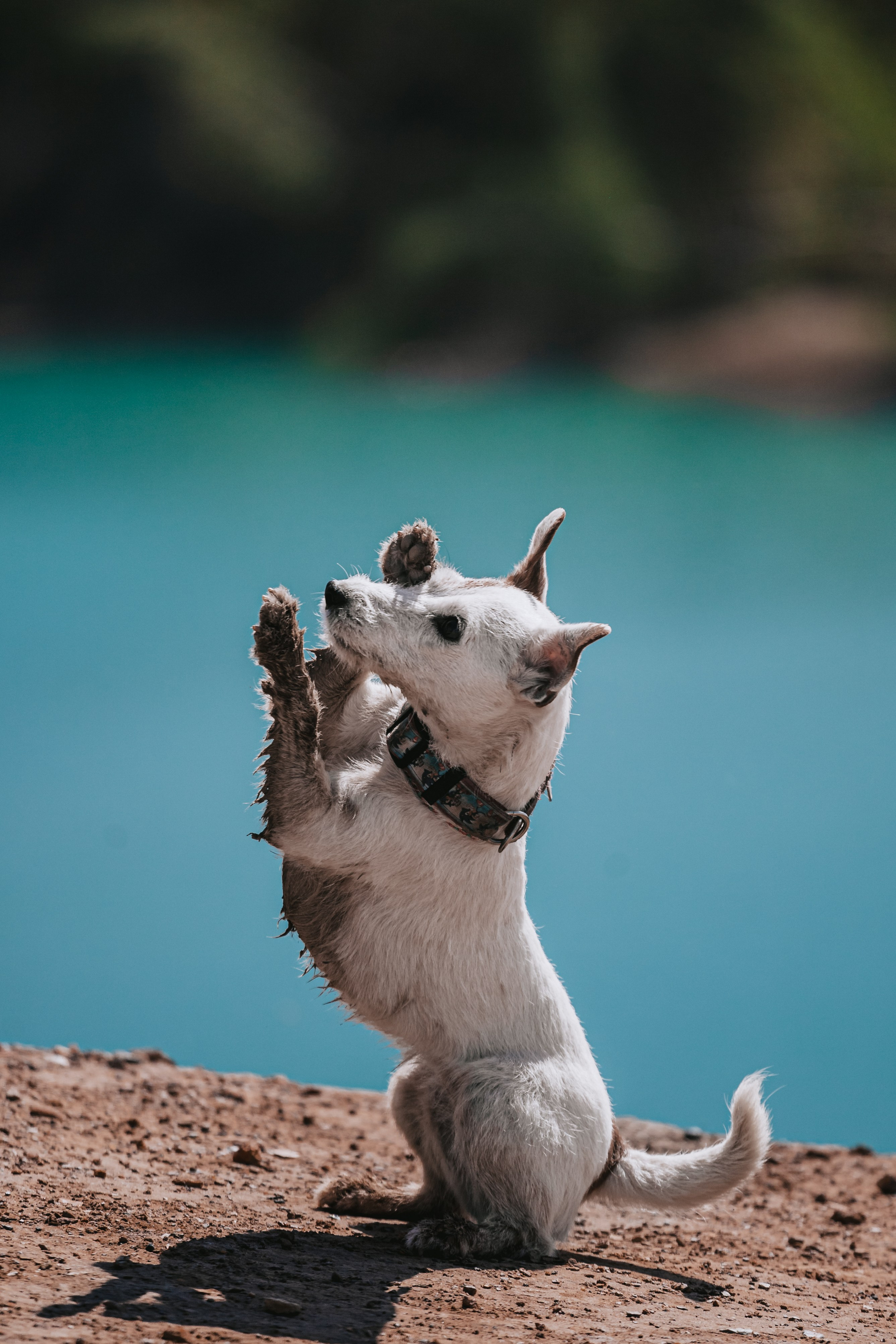 Кондуки. Фотограф-анималист Татьяна Степанова