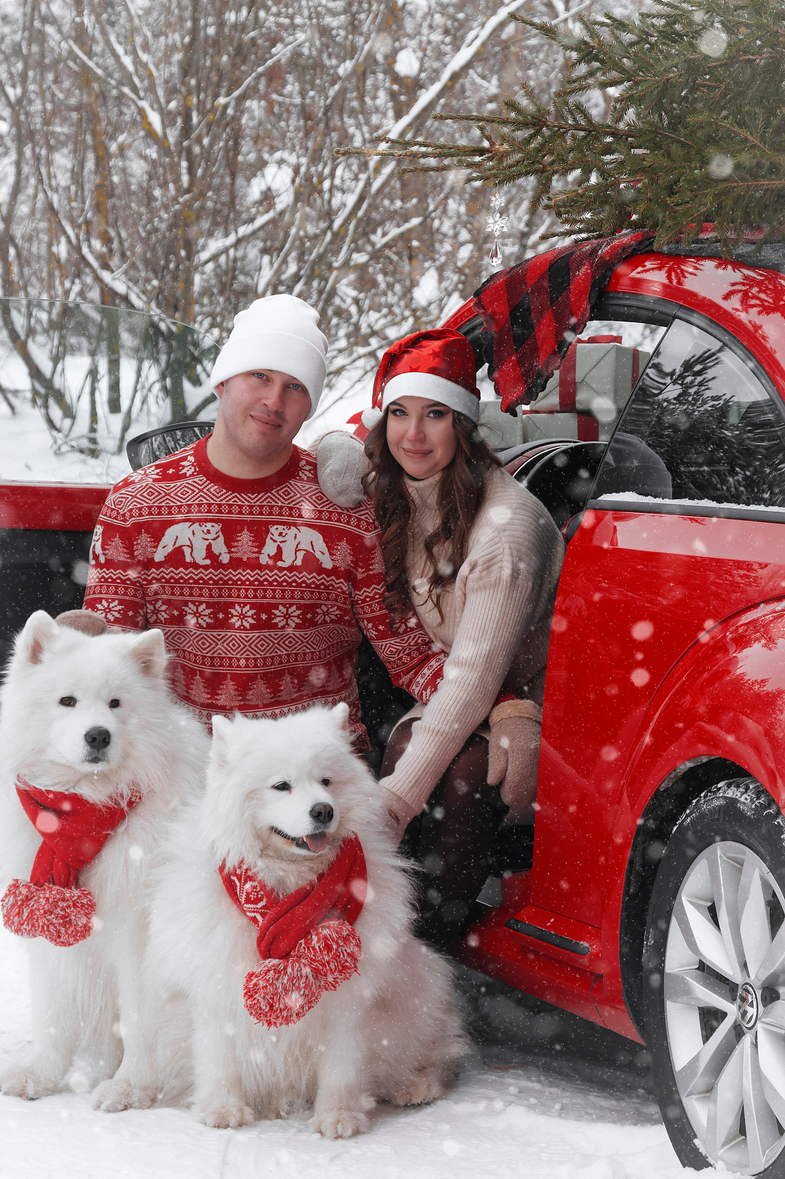 Новогодний красный жук. Фотограф Ольга Бобб Нижний Новгород