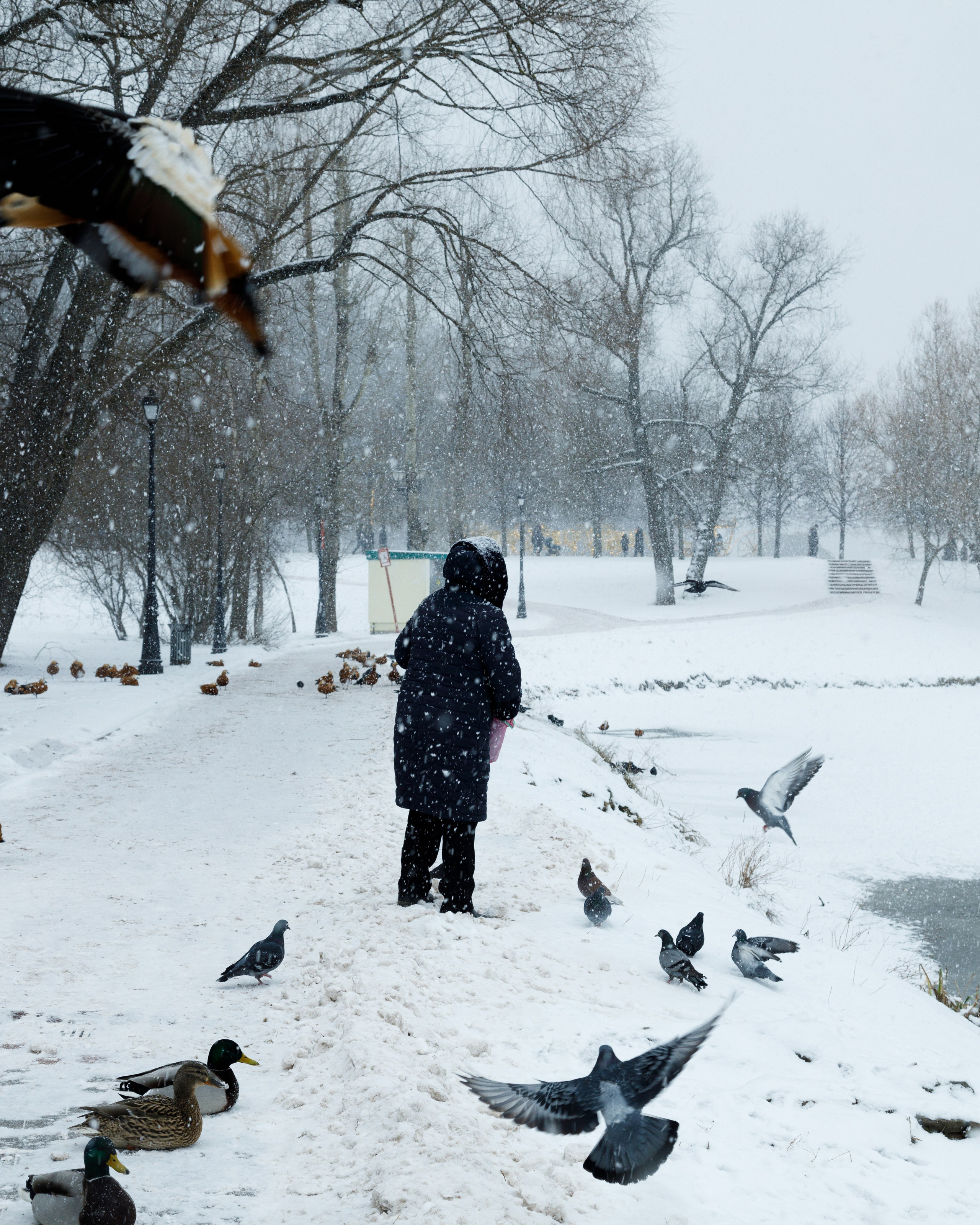 СТРИТ. Фотограф Павел Подшивалов