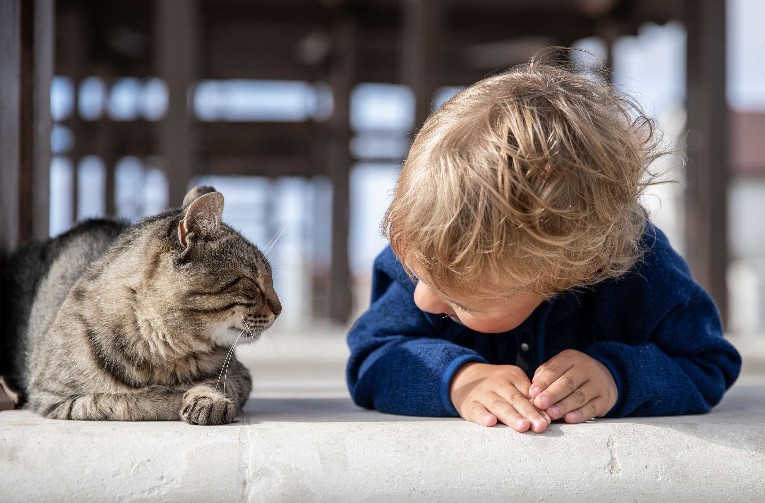 Walk to the sea. Children's photo session