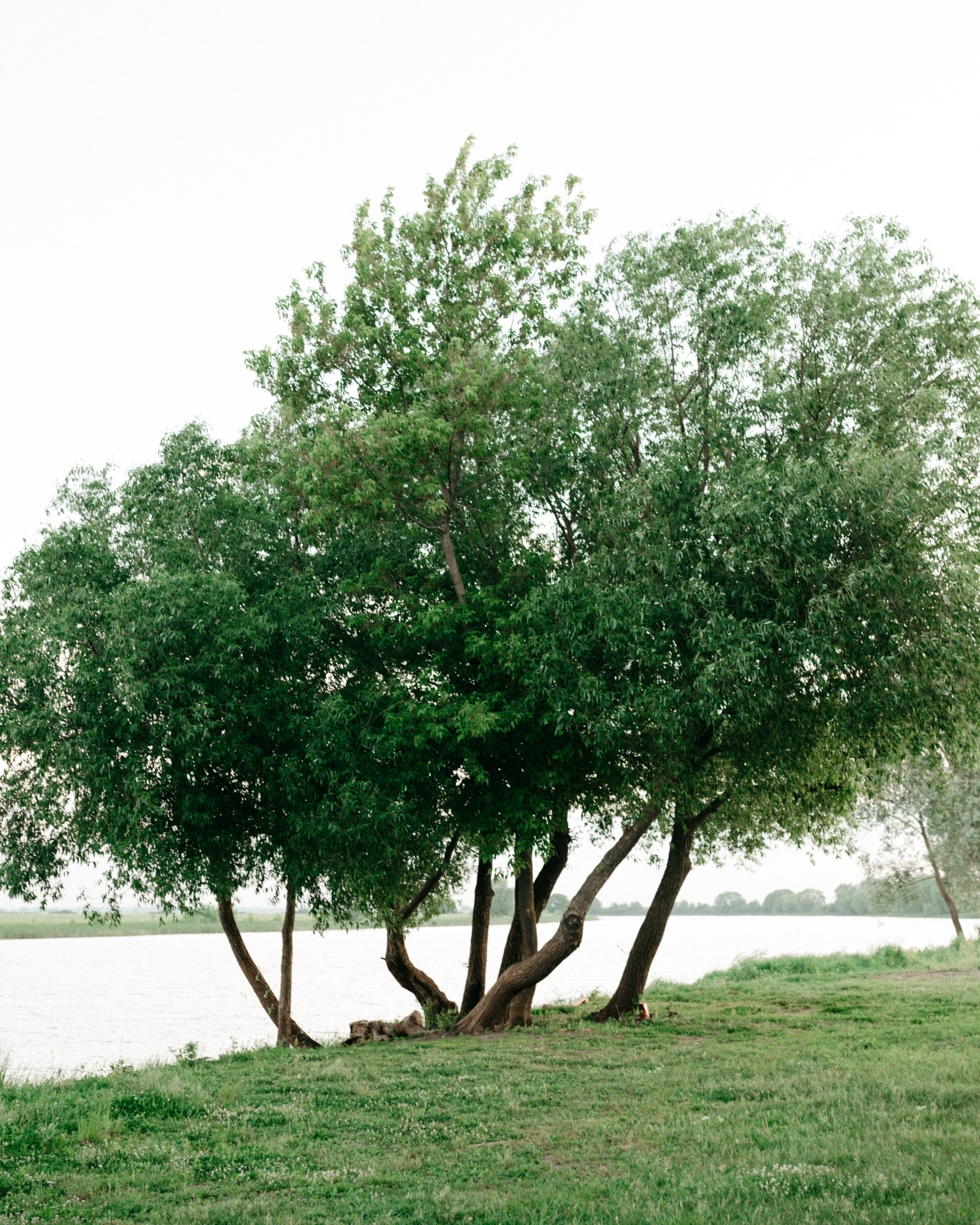 Таня и её пушистые друзья. Фотограф анималист в Москве Ольга Агушева
