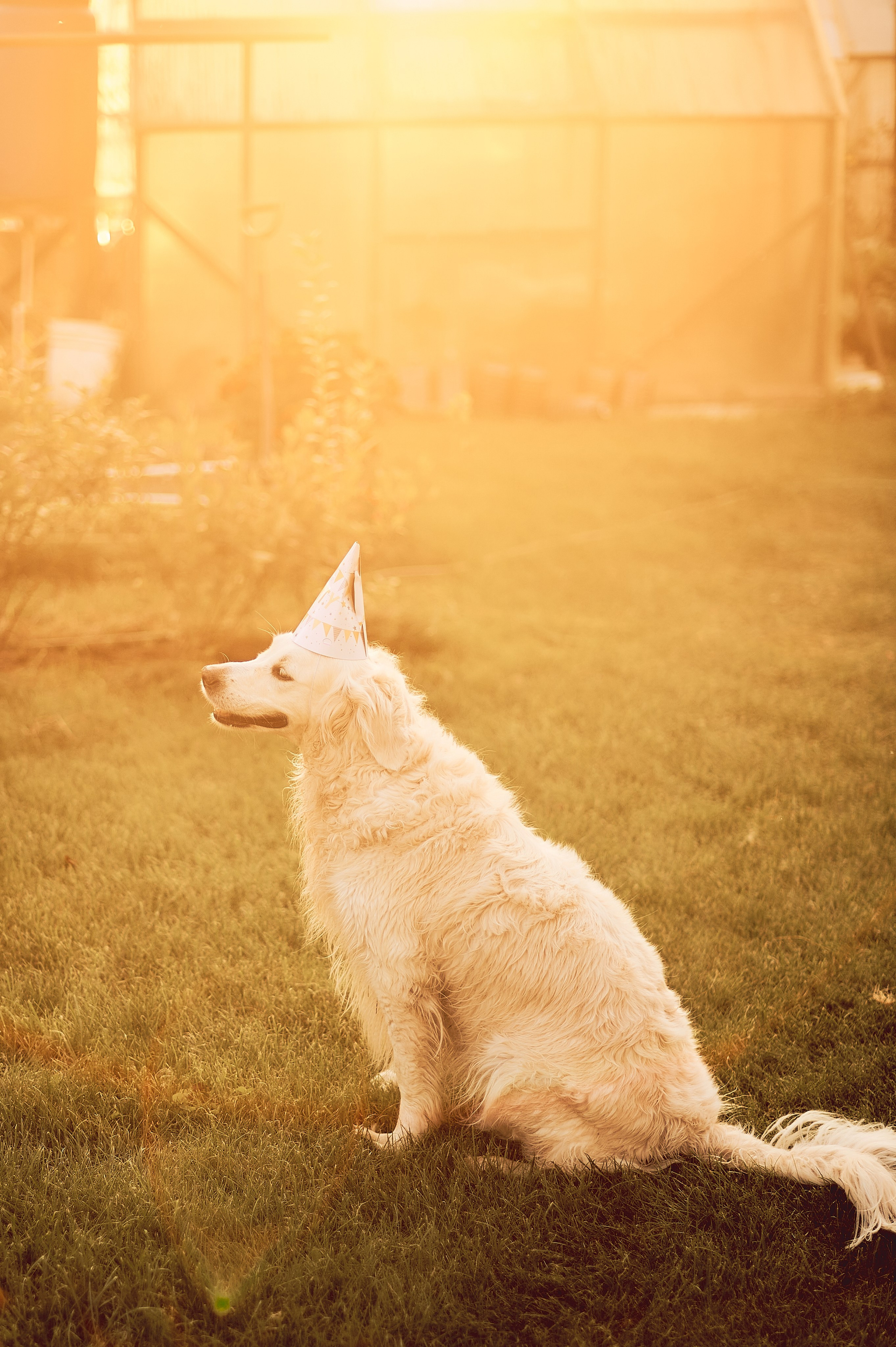 МАРТУШЕ 18. Свадебный и семейный фотограф РИТА БОЧКАРЁВА